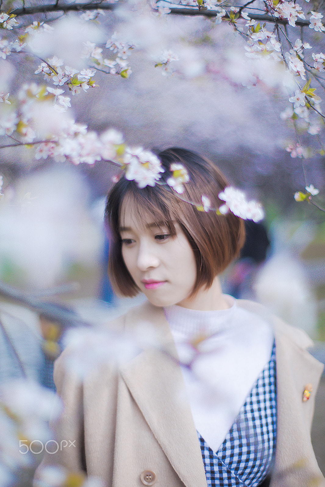 ZEISS Planar T* 50mm F1.4 sample photo. Hi spring photography