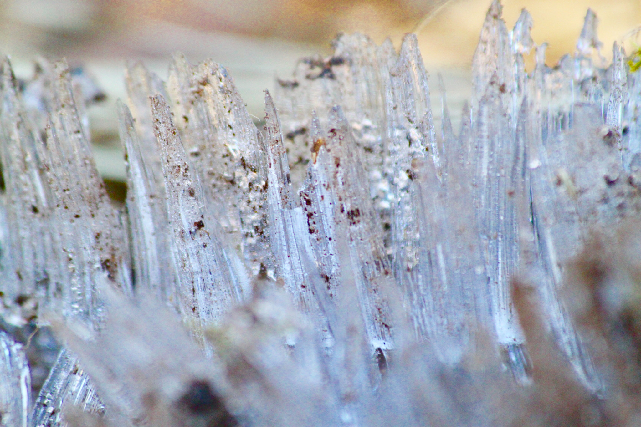 Canon EF 70-300mm F4-5.6 IS USM sample photo. Ice crystals photography
