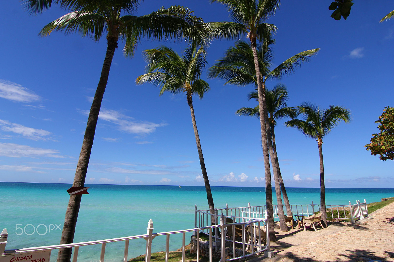 Canon EOS 550D (EOS Rebel T2i / EOS Kiss X4) sample photo. Melia varadero photography