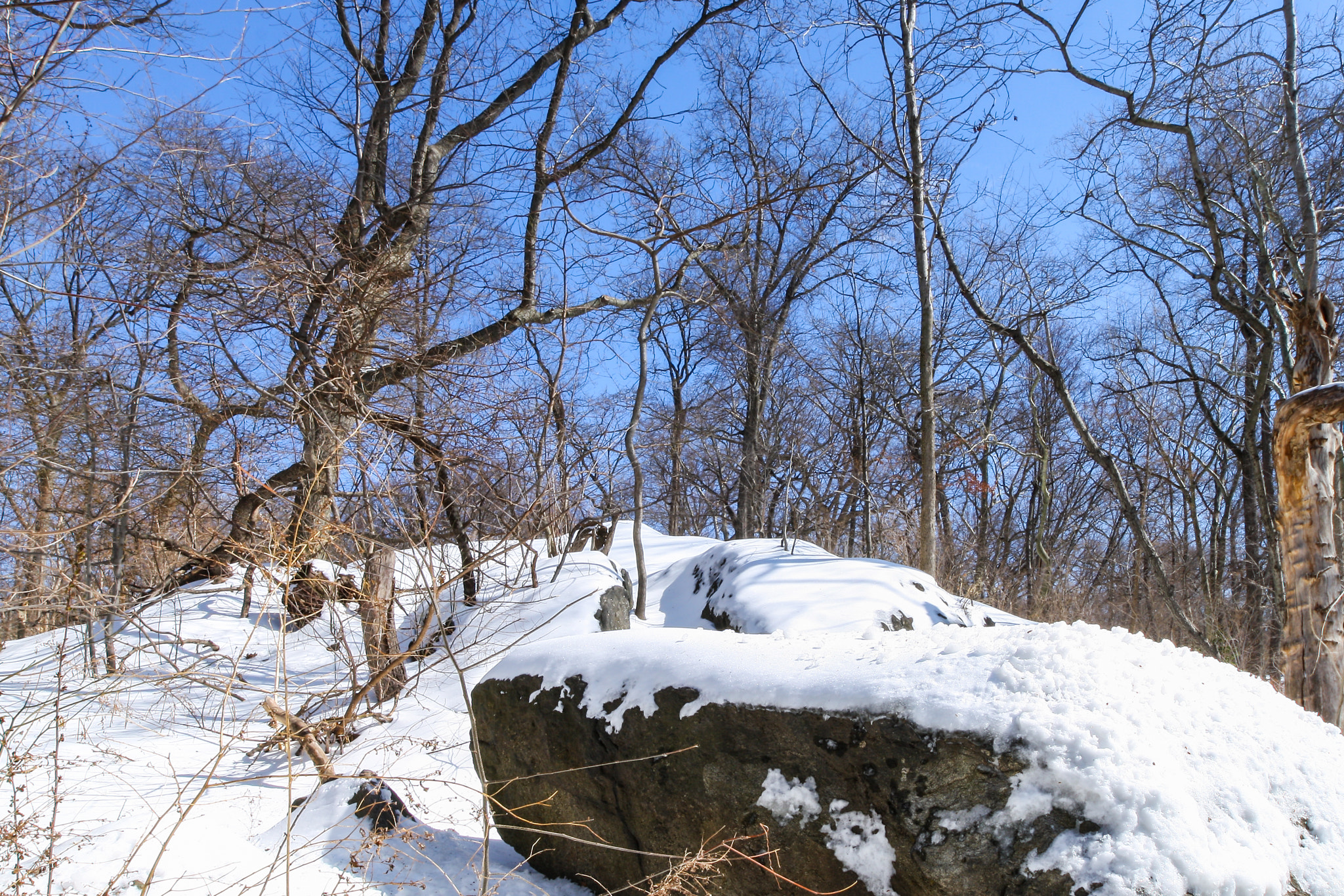 Canon EF 16-35mm F2.8L II USM sample photo