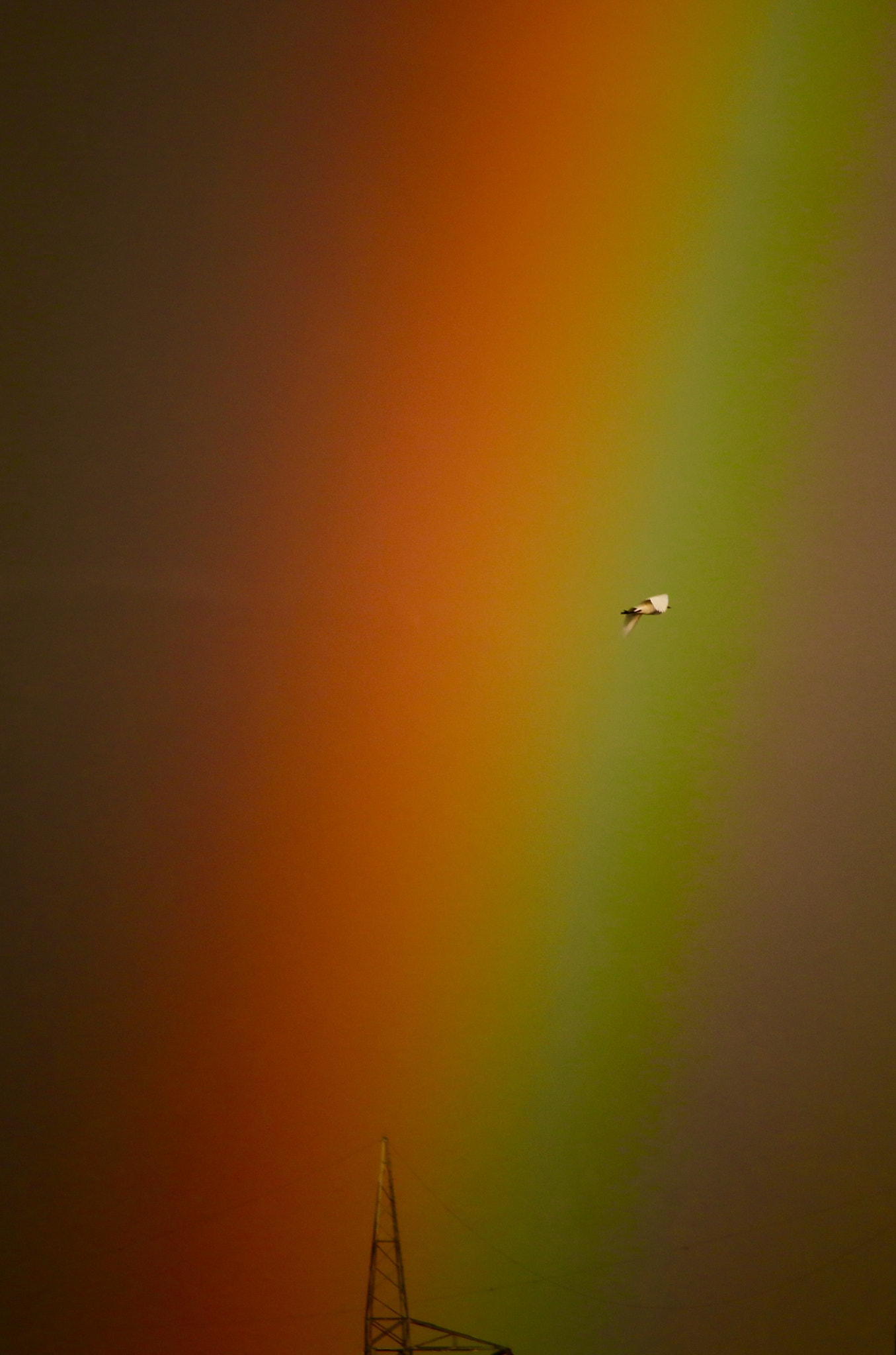 Canon EF-S 55-250mm F4-5.6 IS STM sample photo. A way to rainbow! photography