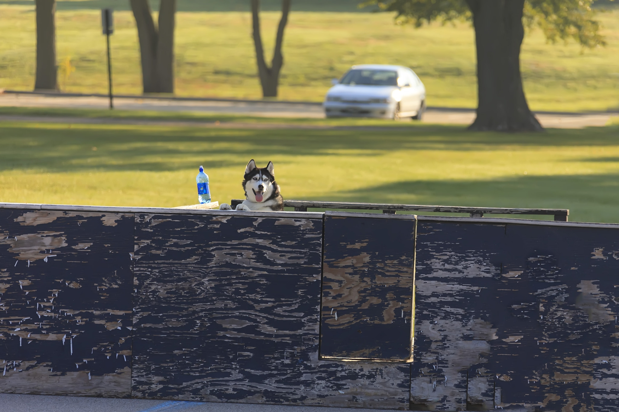 Canon EF 28-300mm F3.5-5.6L IS USM sample photo. Put me in coach photography
