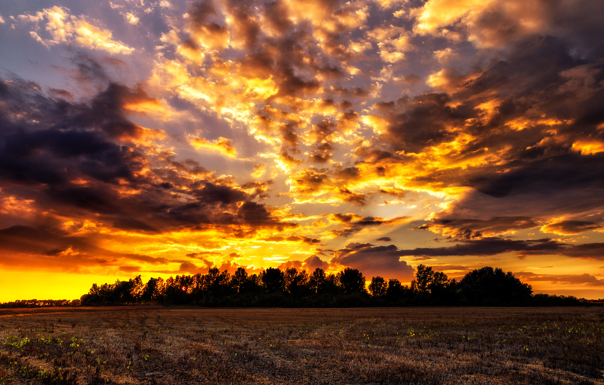 Canon EF 16-35mm F2.8L USM sample photo. Orange sky photography