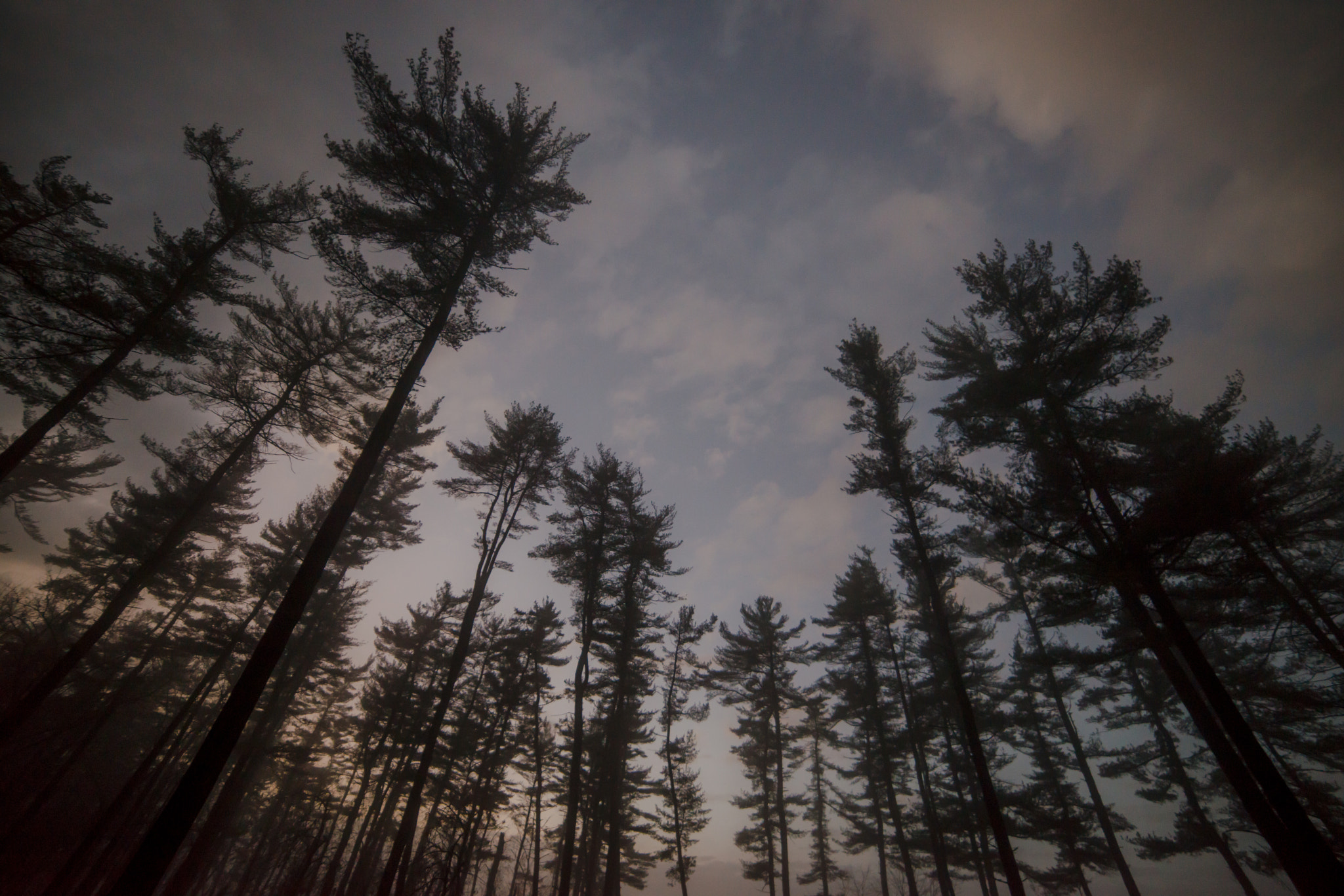 Samyang 14mm F2.8 ED AS IF UMC sample photo. Dusk photography