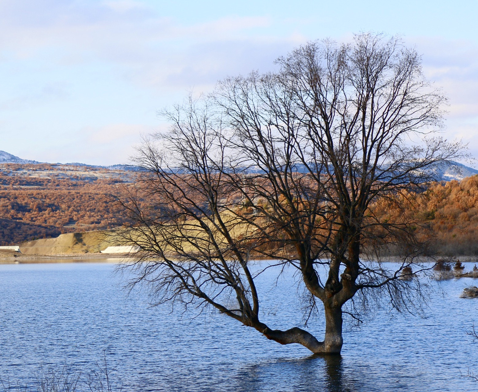 Canon EF-S 55-250mm F4-5.6 IS II sample photo. Living in water photography