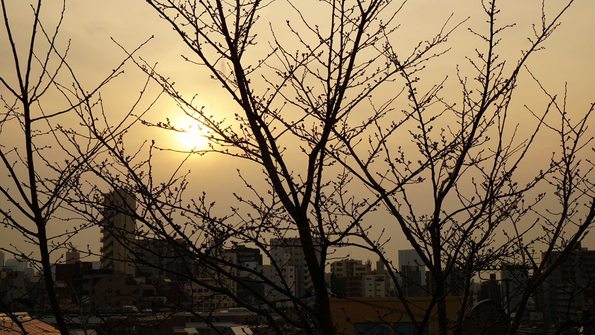 Sony a6000 + Sony E 35mm F1.8 OSS sample photo