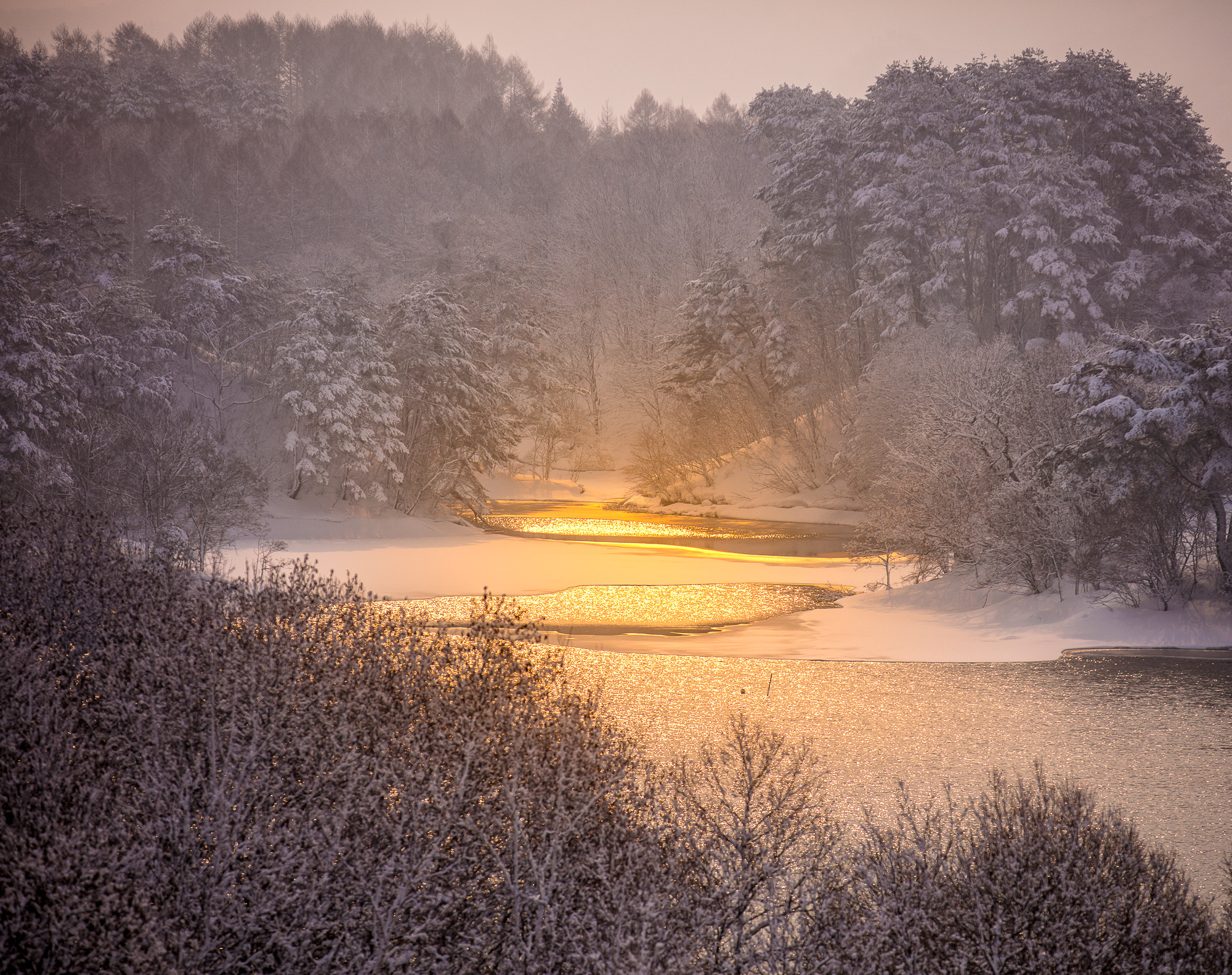 Canon EOS 5DS R sample photo. Sunny spot photography