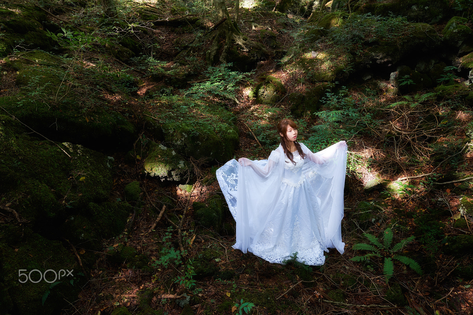 Sony FE 24-70mm F2.8 GM sample photo. Mami photography