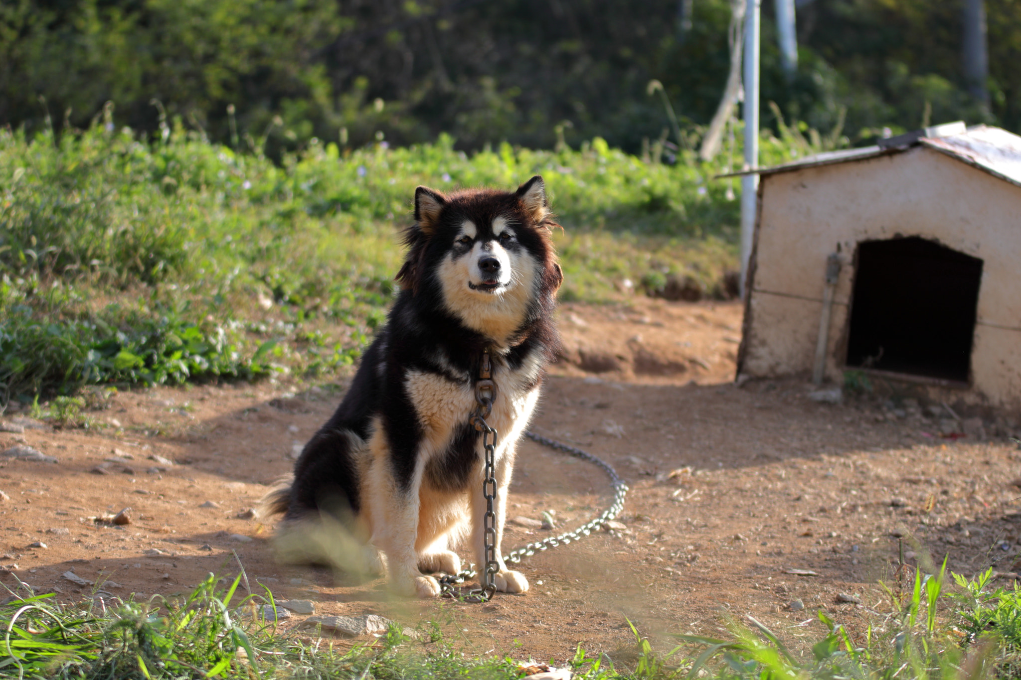 Sigma 70-200mm F2.8 EX DG OS HSM sample photo. Img photography