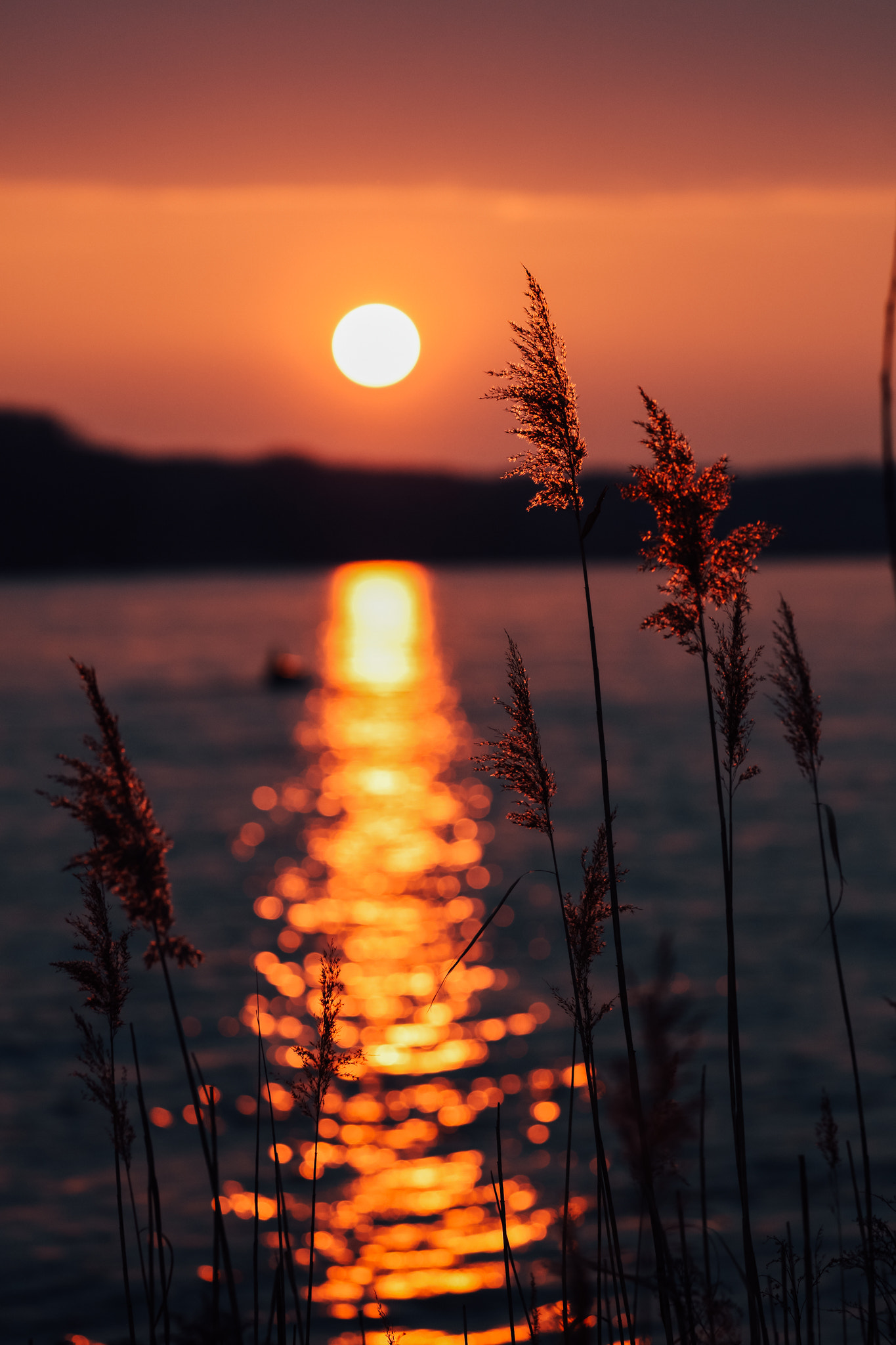 Canon EOS 5DS R + Canon EF 100-400mm F4.5-5.6L IS II USM sample photo. Danube sunset 03/17 photography
