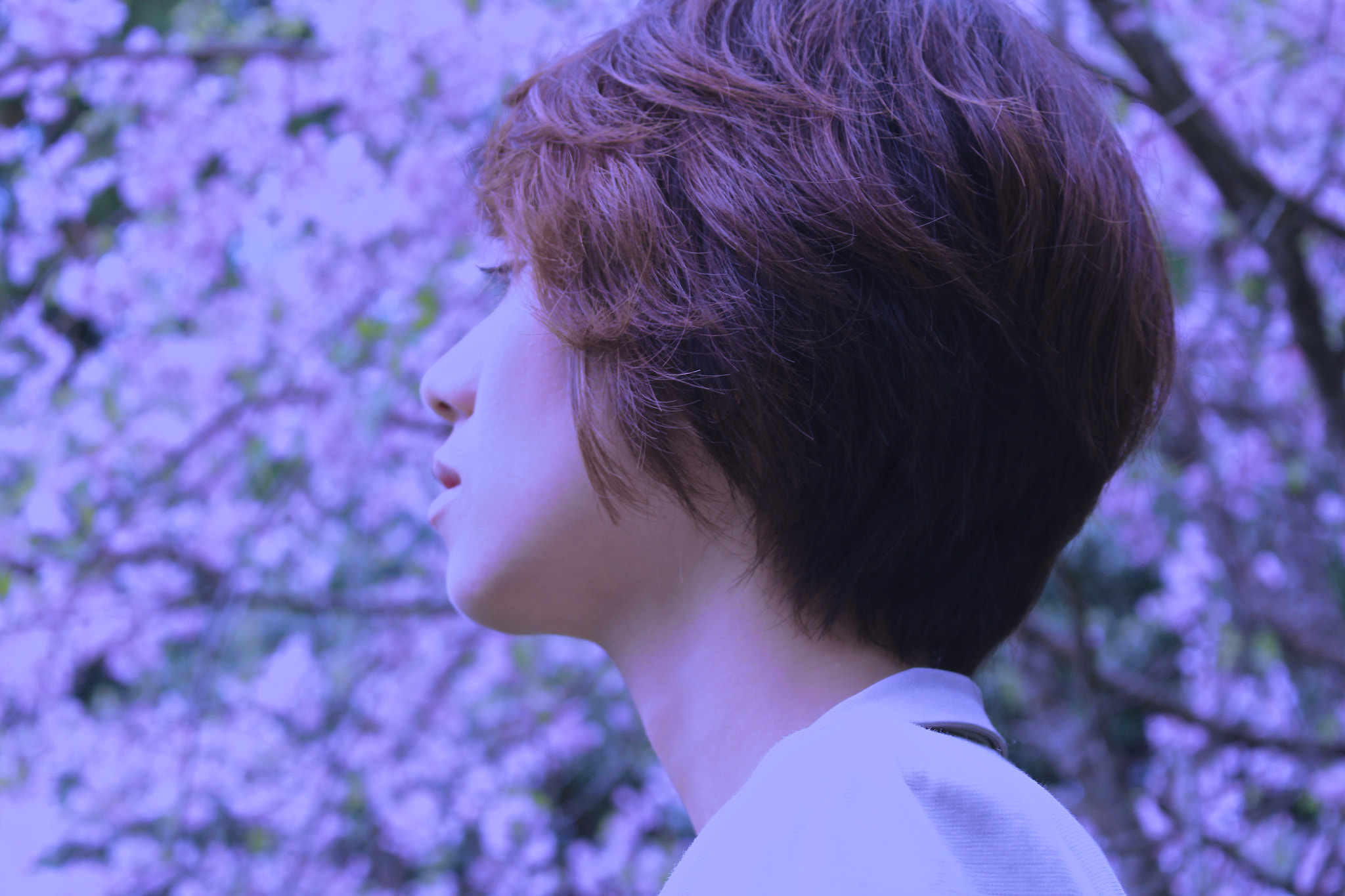 Canon EOS 700D (EOS Rebel T5i / EOS Kiss X7i) sample photo. Haruka / 213 photography