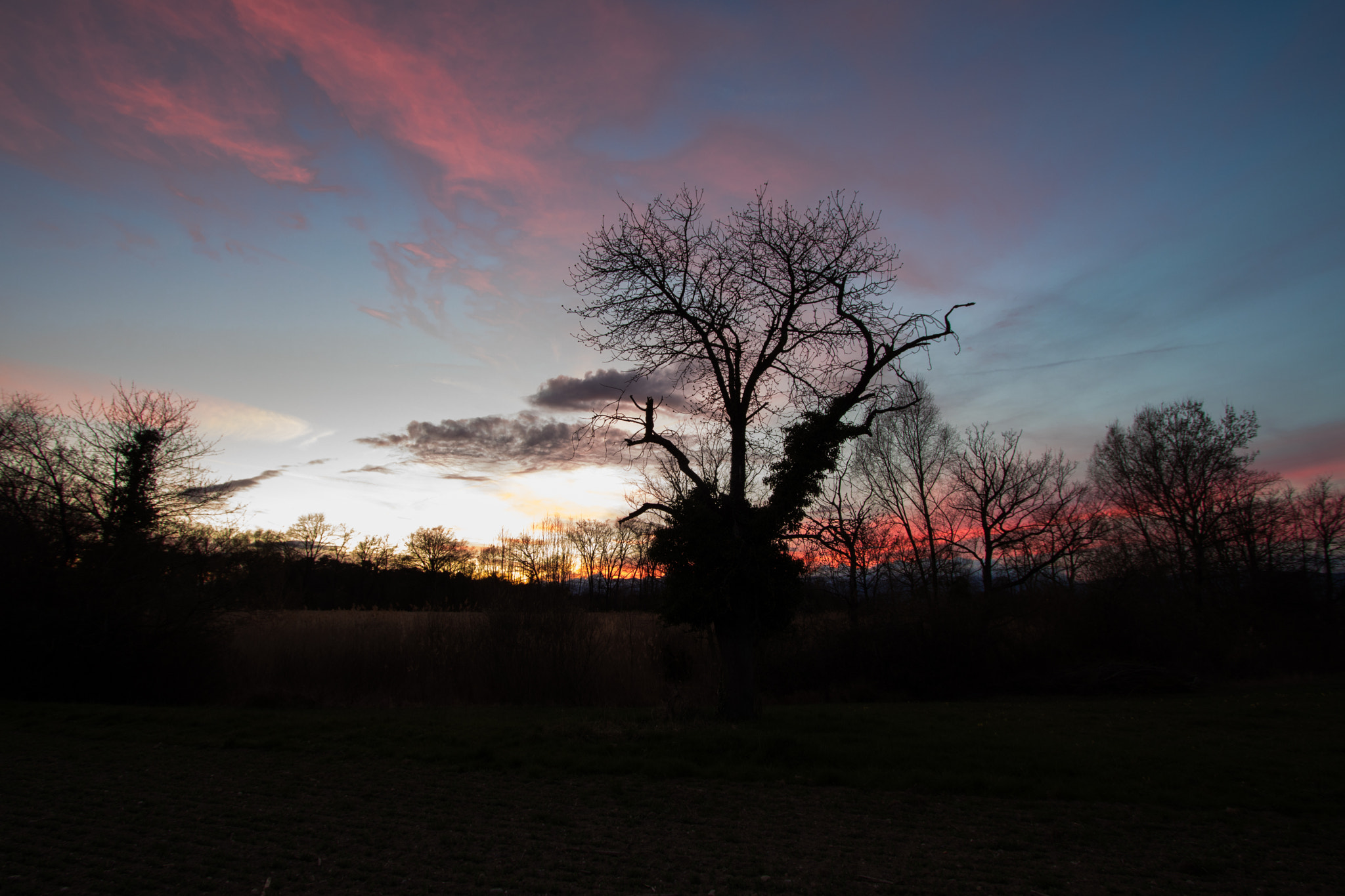 Canon EF-S 10-22mm F3.5-4.5 USM sample photo. Marsh sunset photography