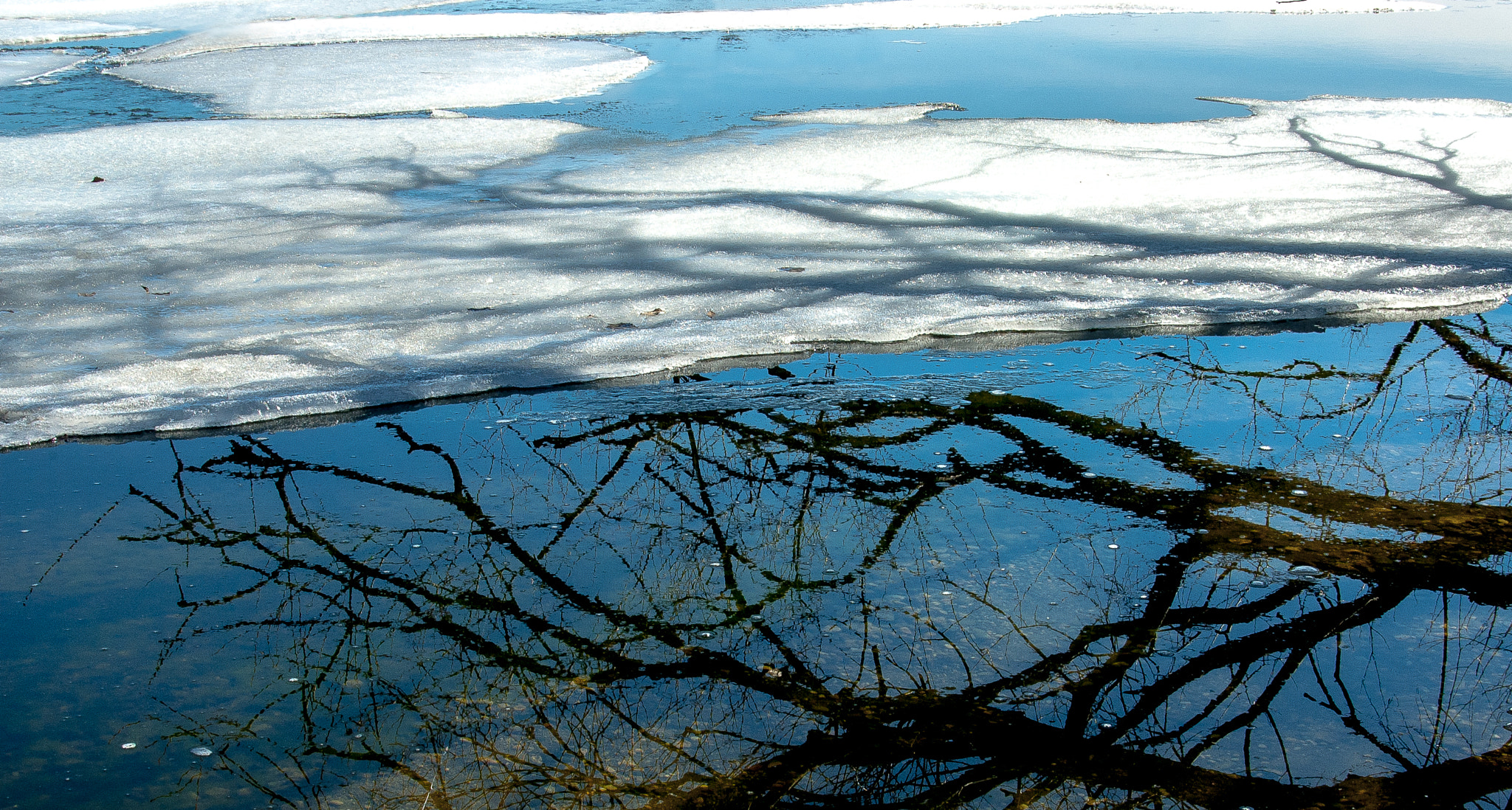Nikon D70 sample photo. Lake madison reflection photography