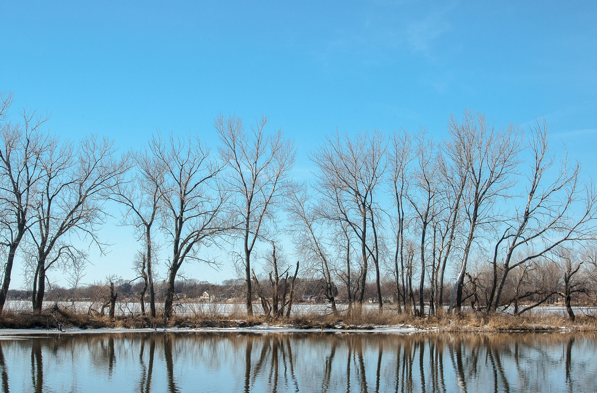 AF Zoom-Nikkor 28-80mm f/3.5-5.6D sample photo. Lake madison tree line photography