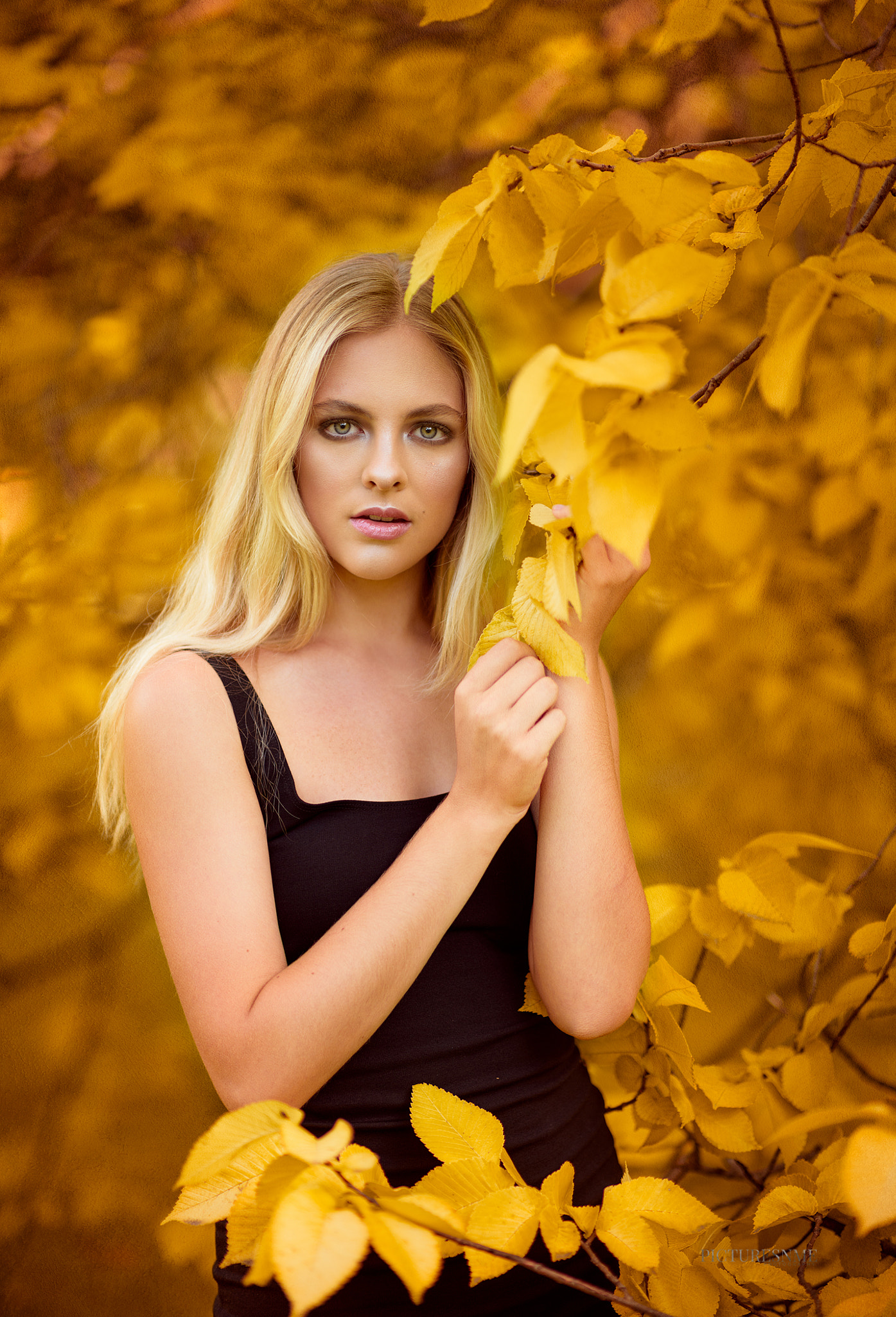 Nikon D750 + Nikon AF-S Nikkor 85mm F1.4G sample photo. Autumn is here photography