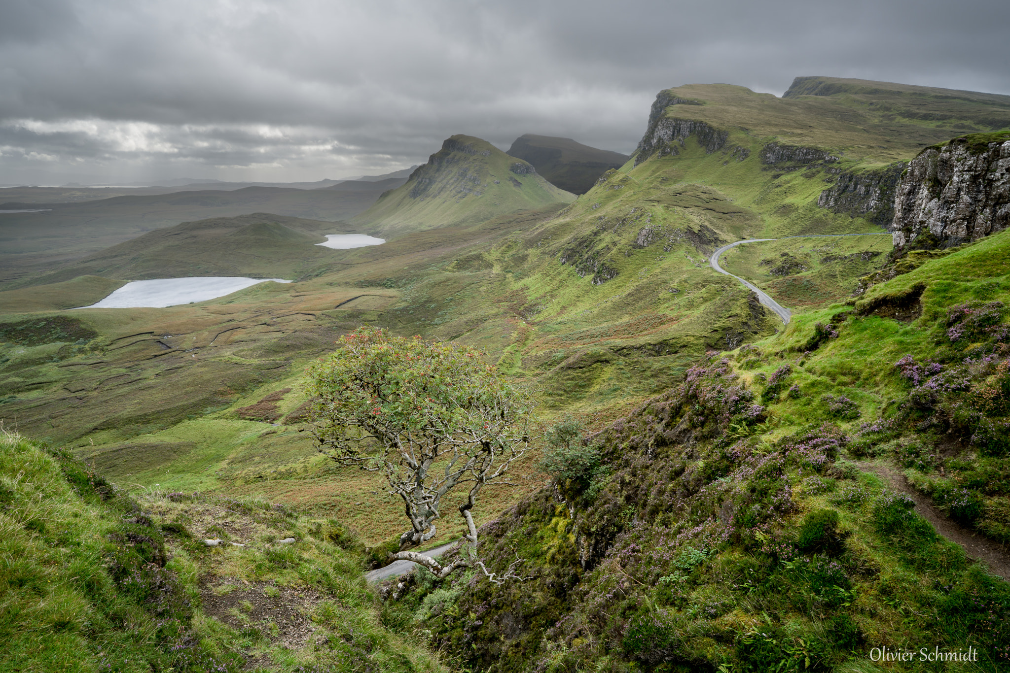 Sony a7R II sample photo. Quiraing - famous small tree photography