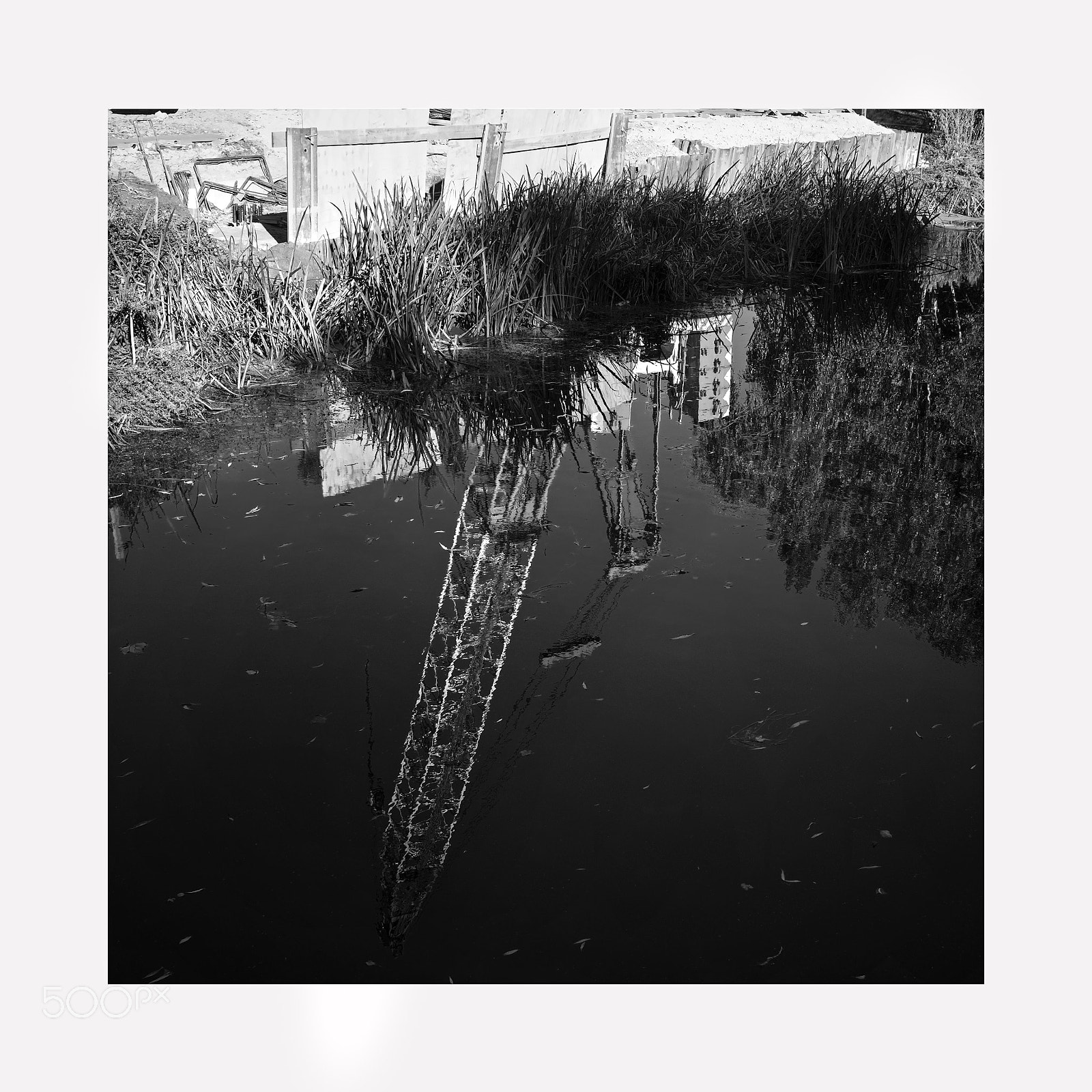 Fujifilm X-Pro2 + Fujifilm XF 23mm F1.4 R sample photo. Crane reflection, river colne photography