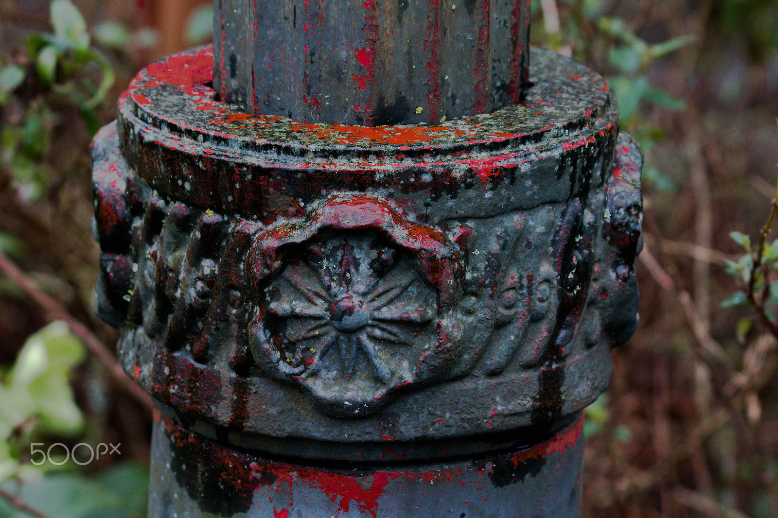 Canon EF 70-300mm F4-5.6 IS USM sample photo. Bits photography