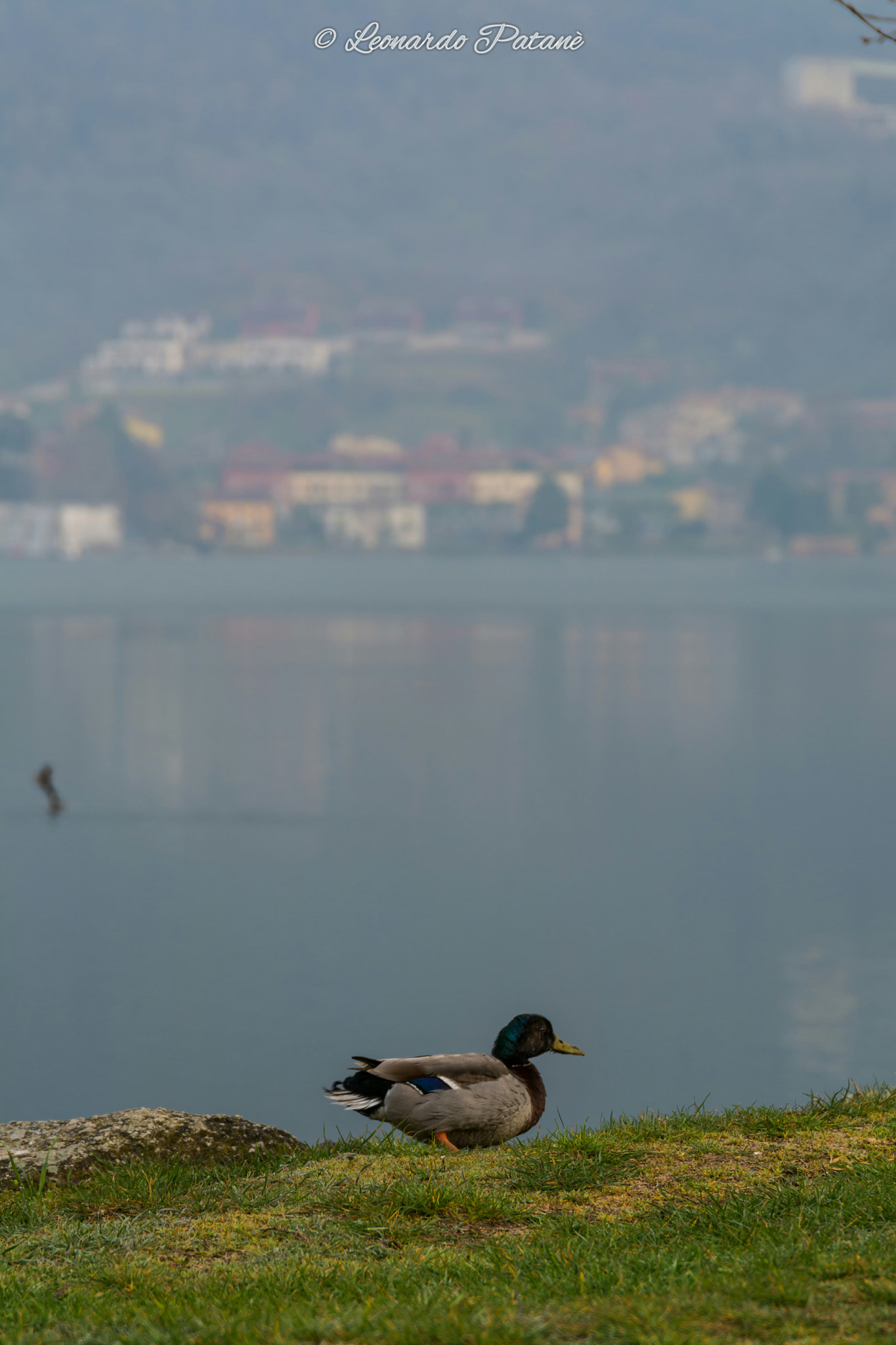 Nikon D7100 + Sigma 24-105mm F4 DG OS HSM Art sample photo. Lago di bosisio parini lc lombardia  photography