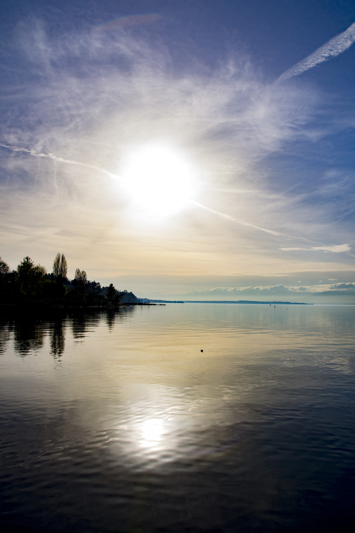 Nikon D7200 sample photo. Lac leman photography