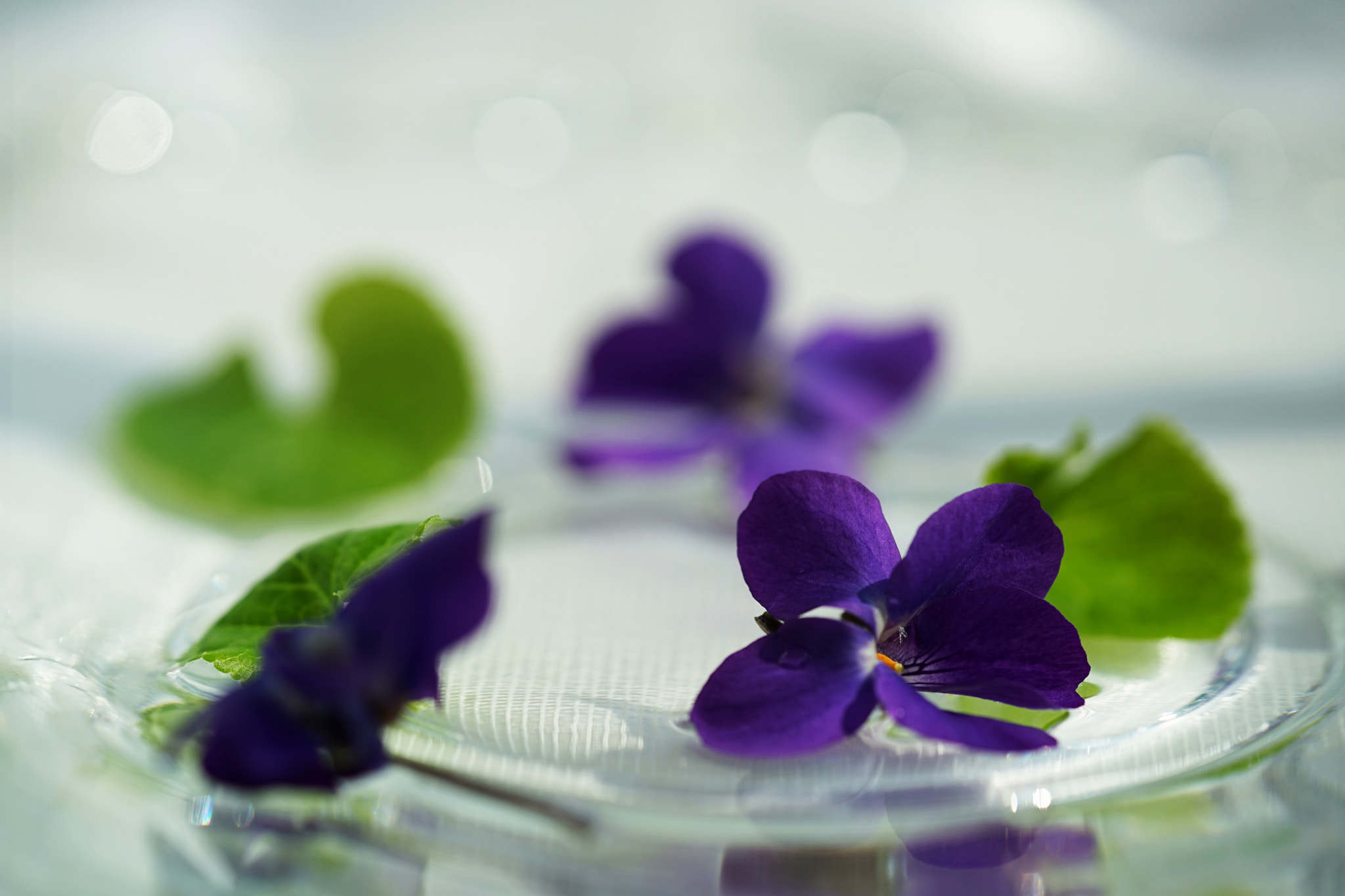 Sony a7 II sample photo. Scent of violets photography