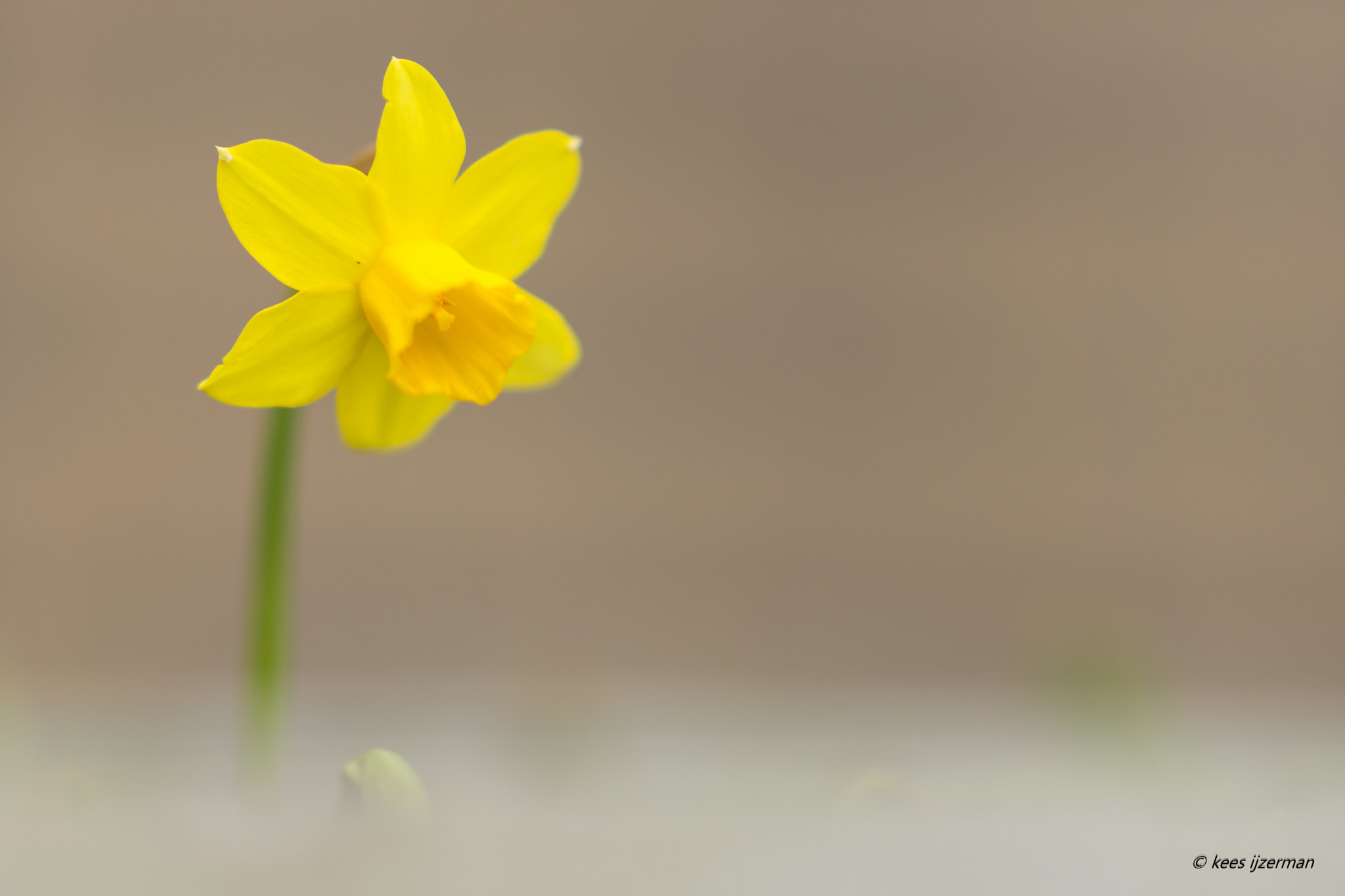 Sony Sonnar T* 135mm F1.8 ZA sample photo. Tete a tete. photography