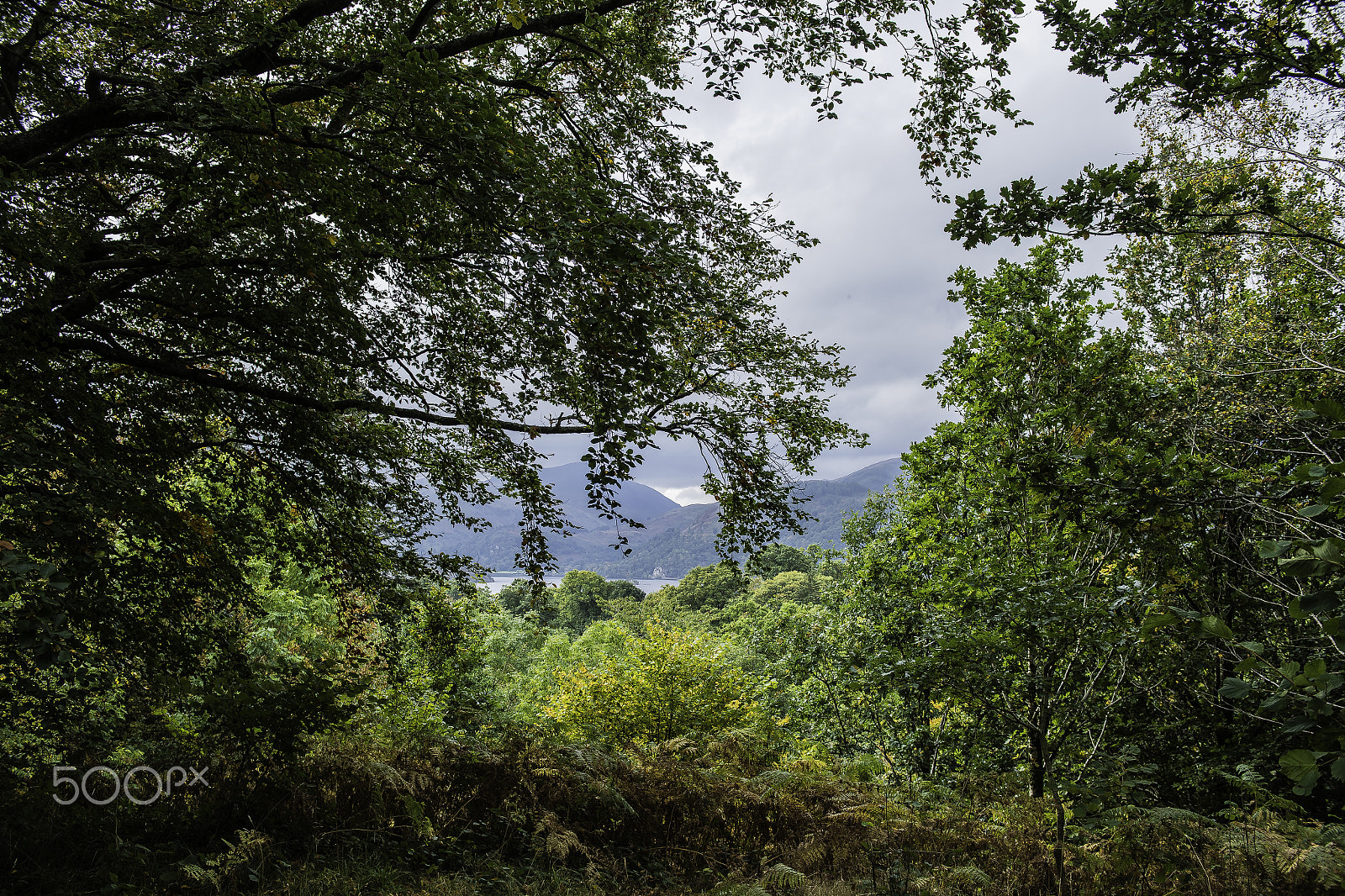 Nikon D5 + Nikon AF-S Nikkor 24-70mm F2.8G ED sample photo. Cumbria photography