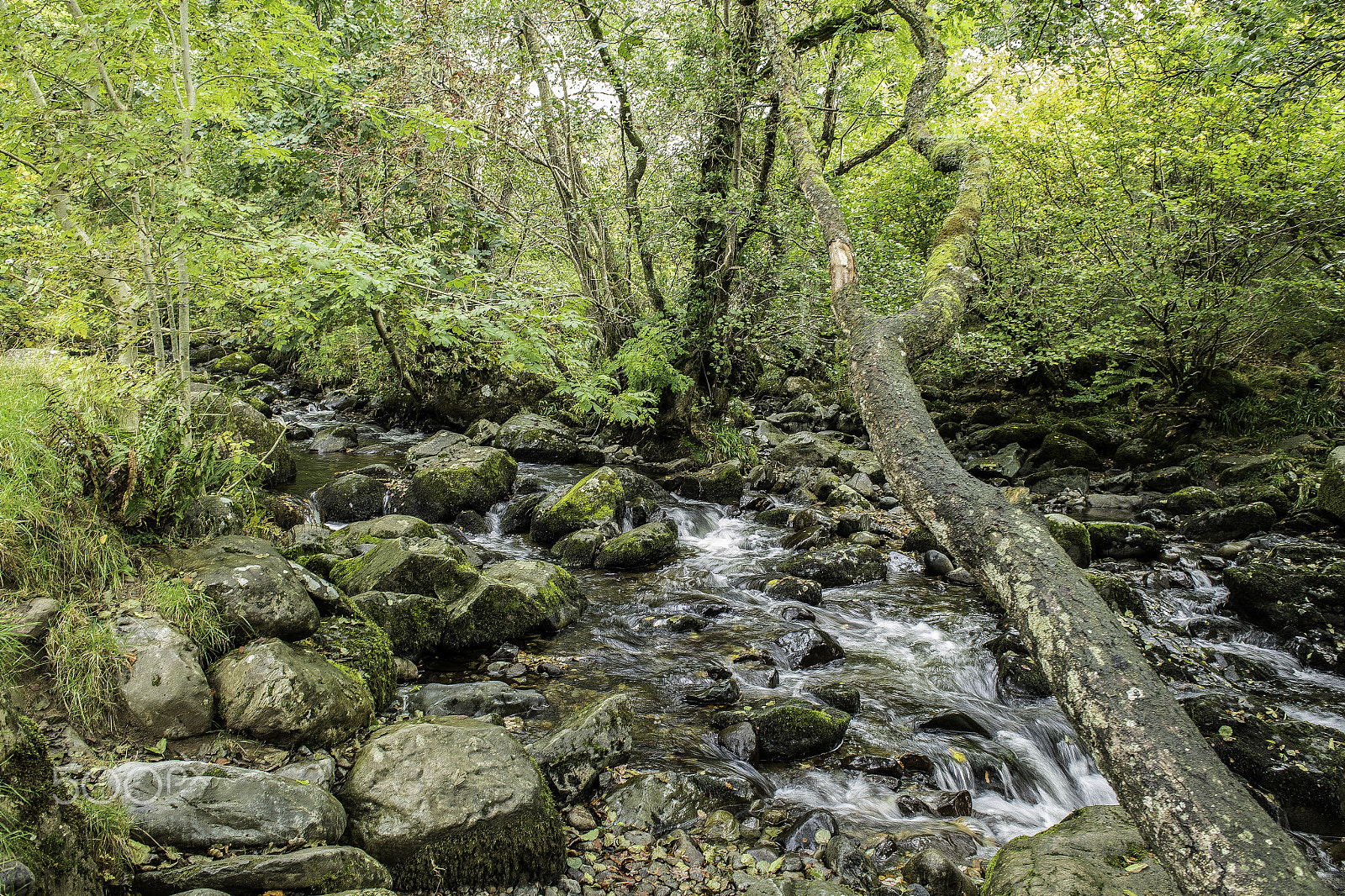 Nikon D5 + Nikon AF-S Nikkor 24-70mm F2.8G ED sample photo. Aira force photography