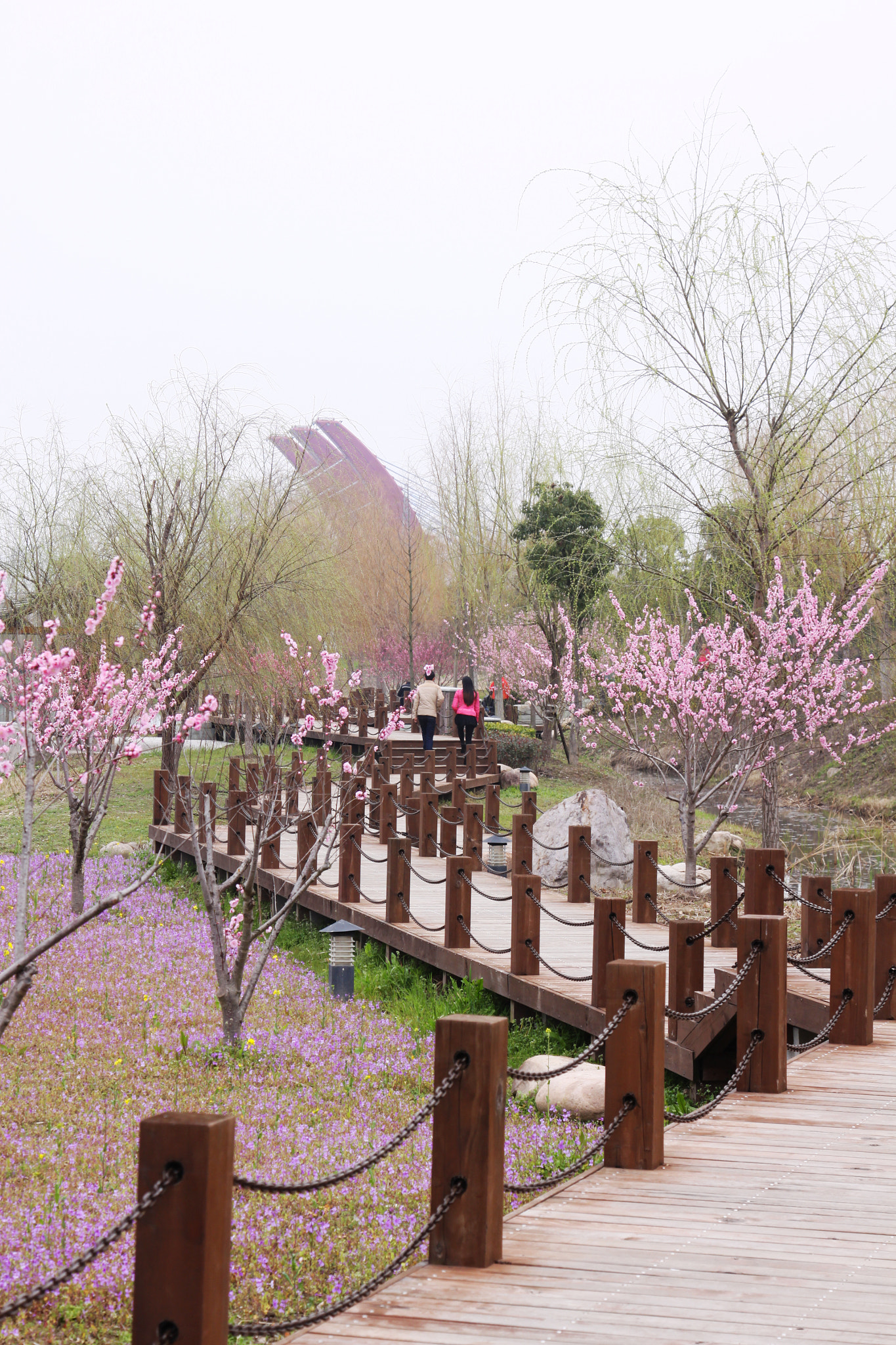 Canon EOS 50D + Canon EF 24-105mm F4L IS USM sample photo. The spring photography