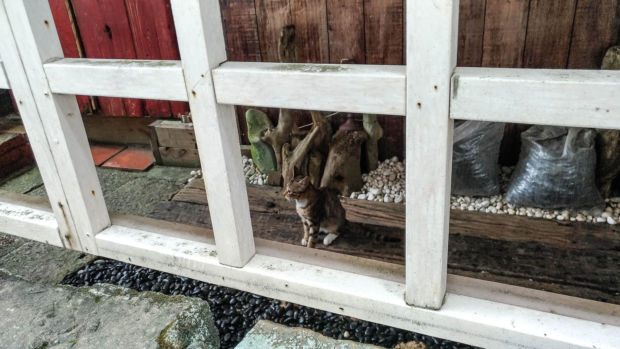 ASUS ZenFone 3 (ZE552KL) sample photo. Jiufen, taiwan photography