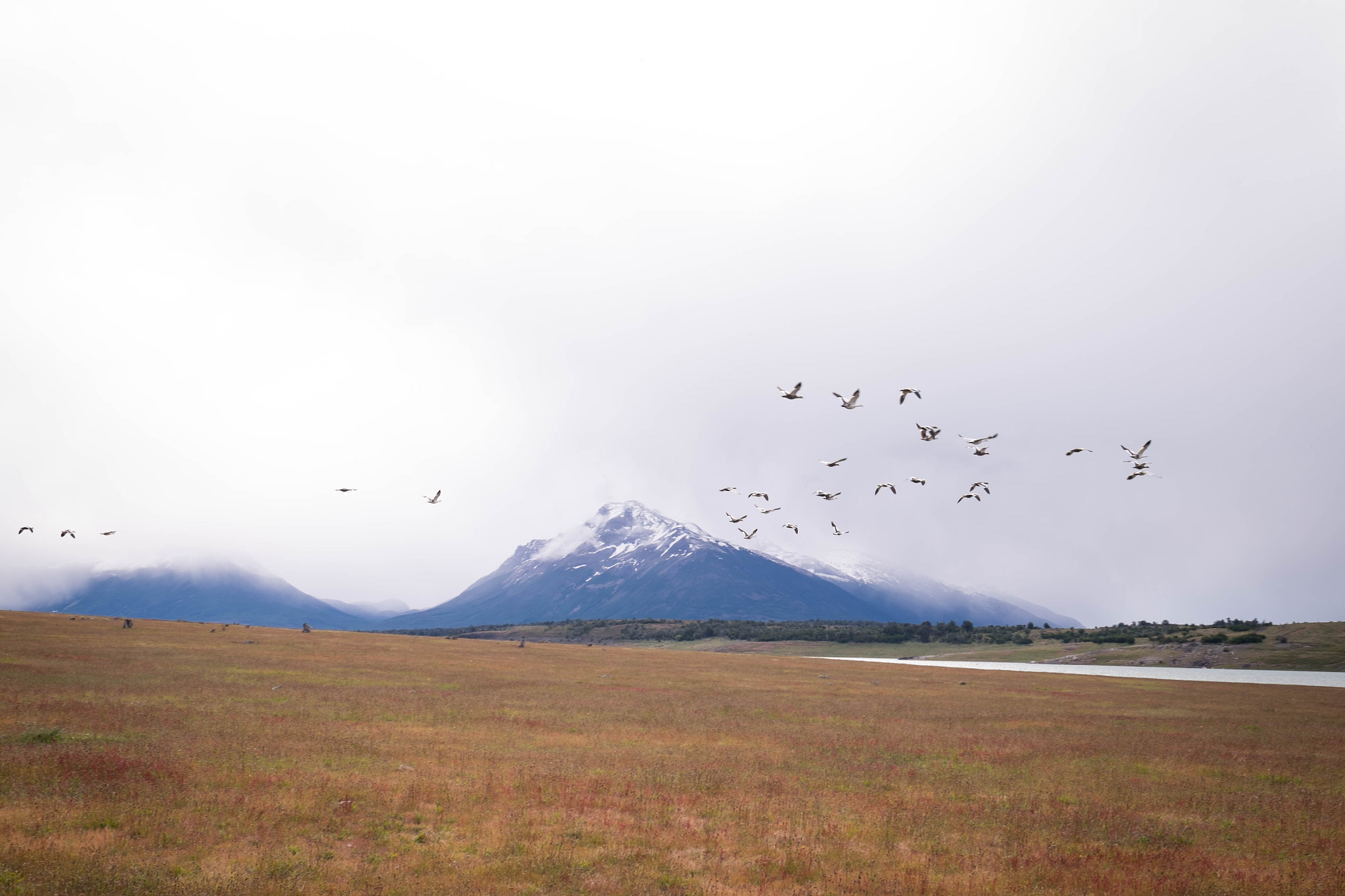 Fujifilm X-T1 + Fujifilm XF 16-55mm F2.8 R LM WR sample photo. Lonely patagonia photography