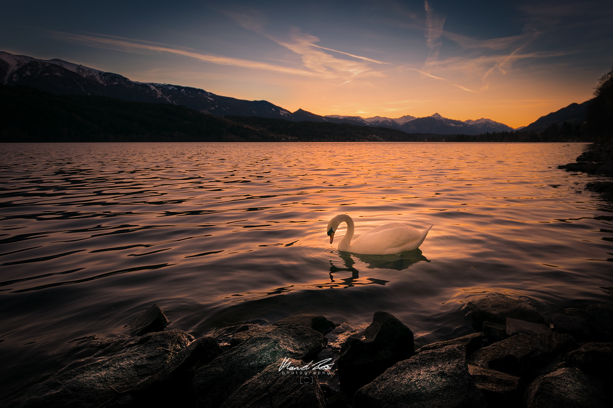 Nikon D5300 + Sigma 10-20mm F3.5 EX DC HSM sample photo. Swan in the last light photography
