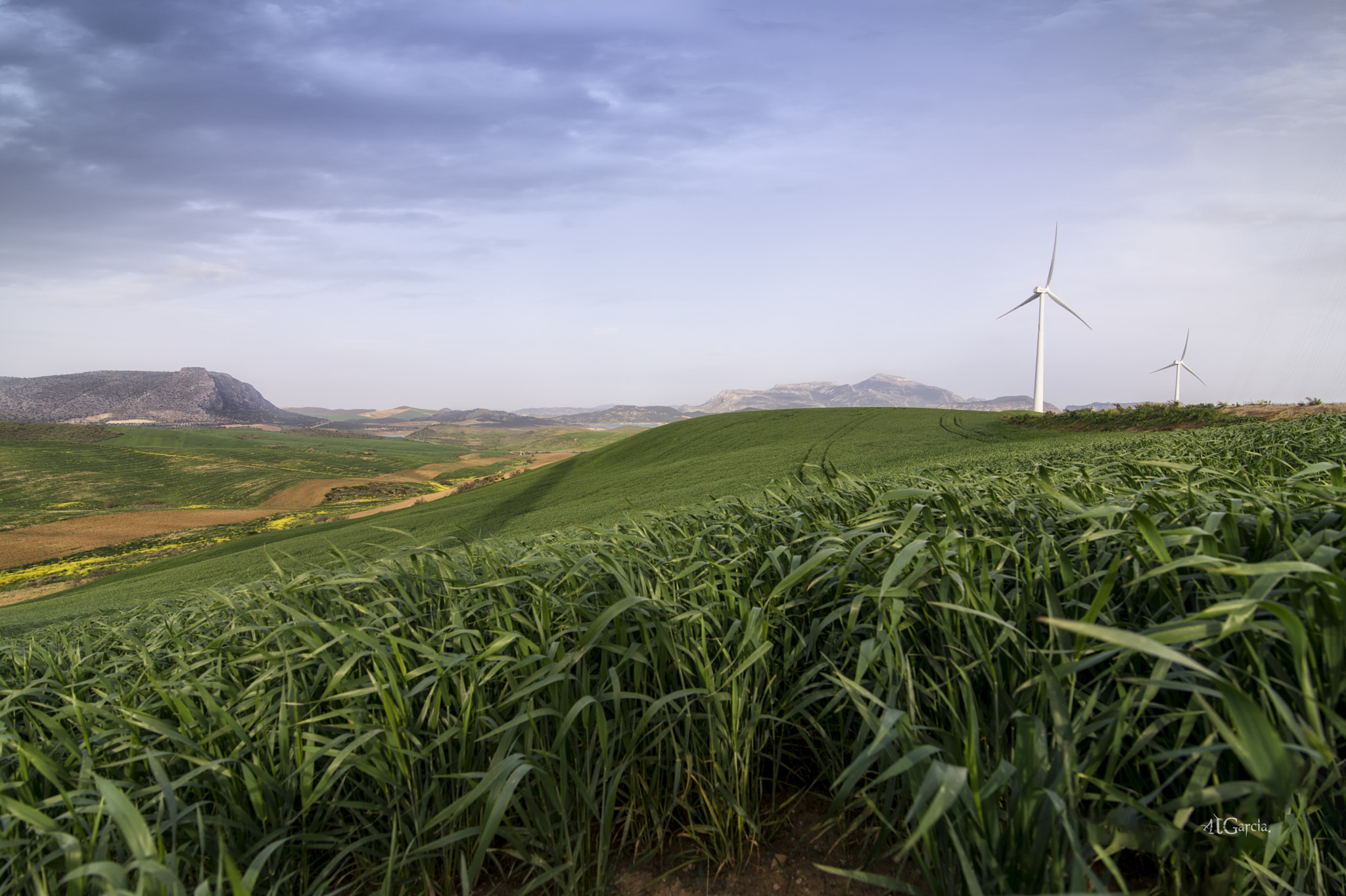 Tokina AT-X 16-28mm F2.8 Pro FX sample photo. Guadalteba photography
