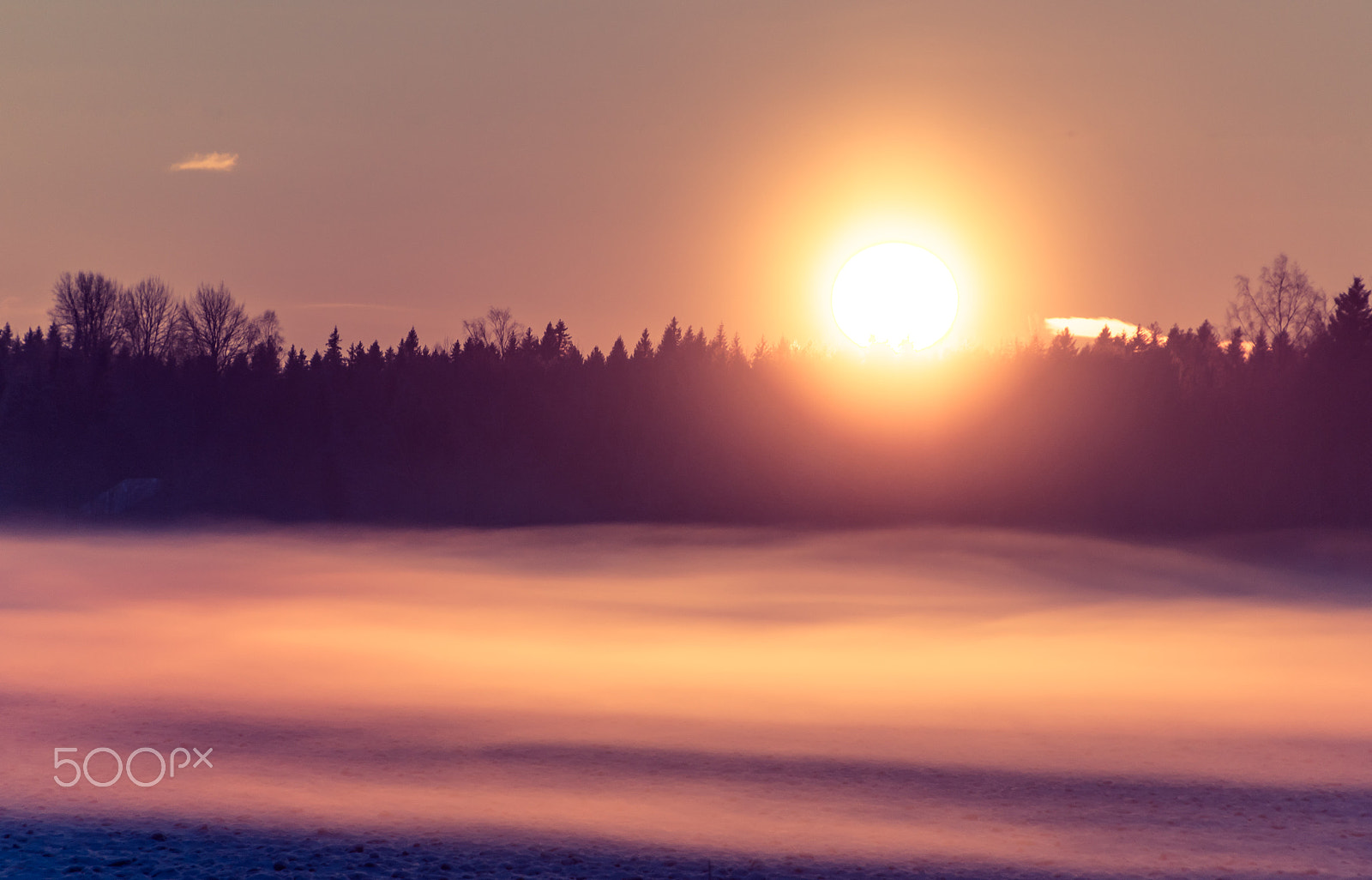 Nikon D5500 sample photo. Fog and sunset photography