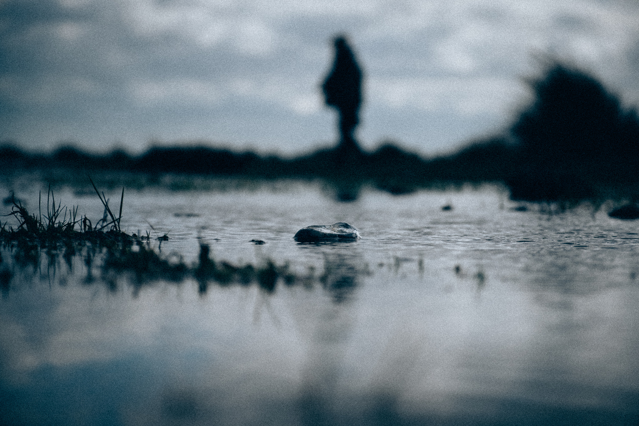 Fujifilm X-T1 + Fujifilm XF 16-55mm F2.8 R LM WR sample photo. Stone photography