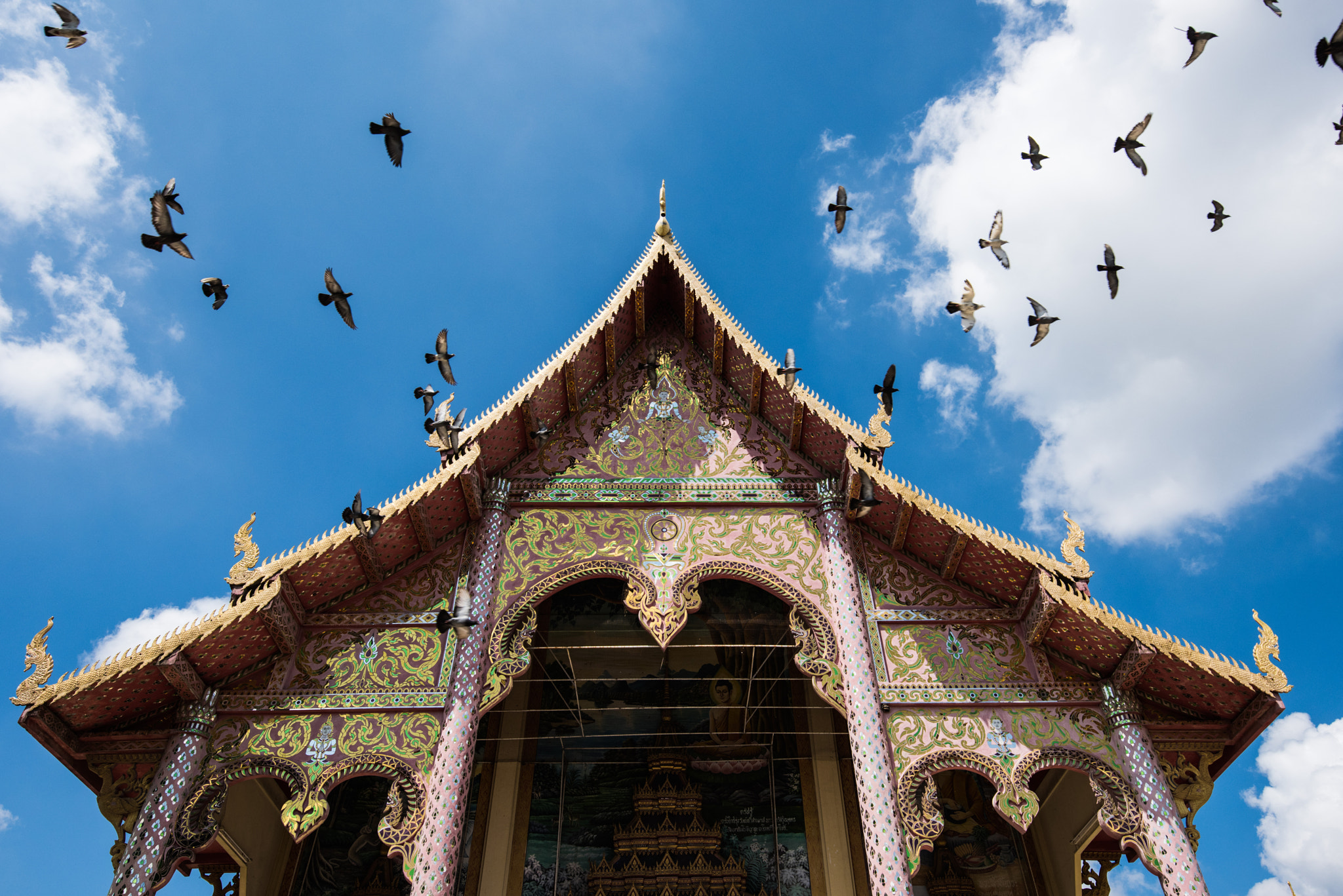 Nikon D810 sample photo. The roof and the bird photography