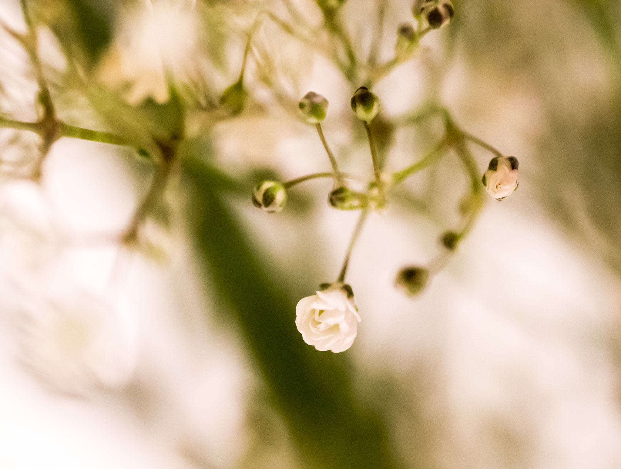 Nikon D7200 sample photo
