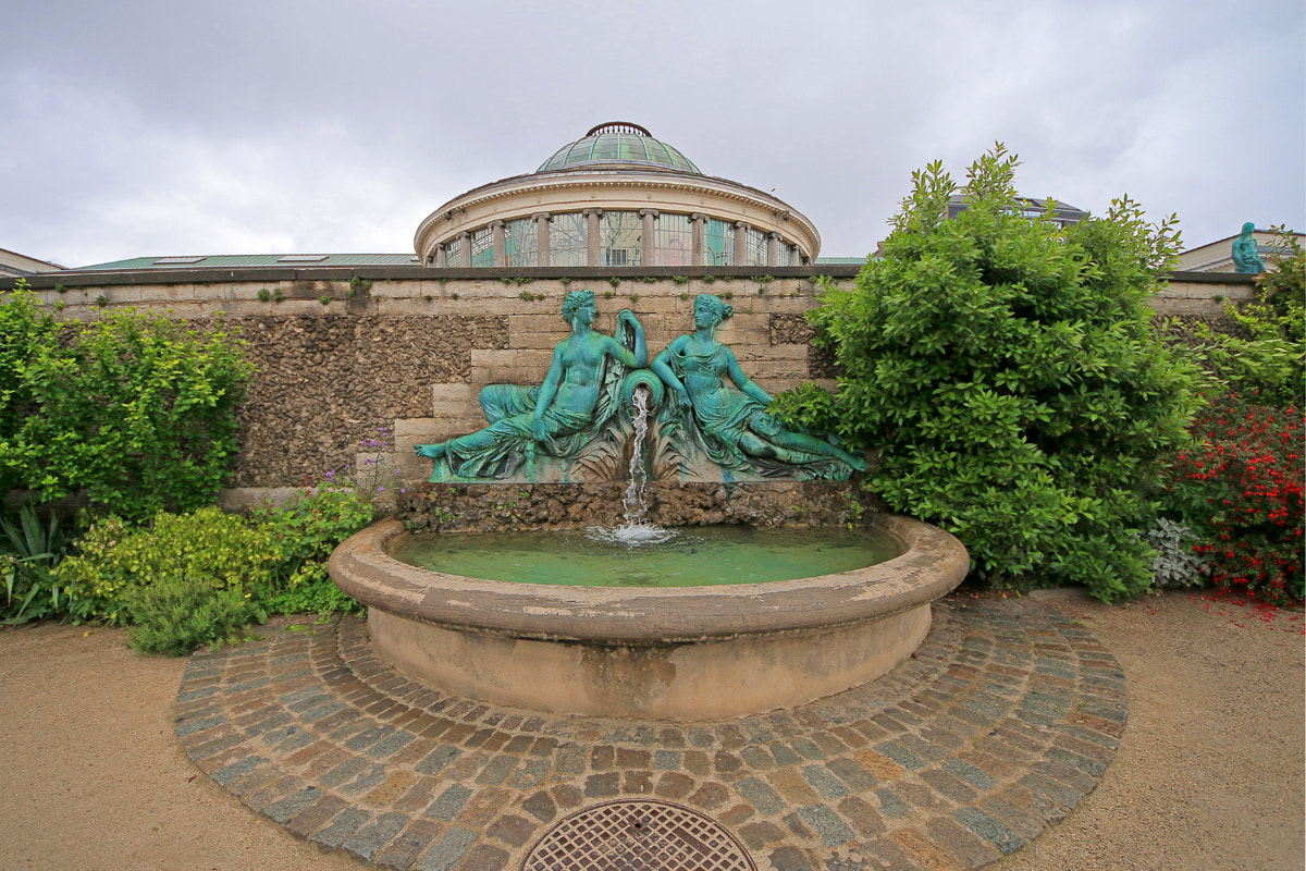 Sigma 8-16mm F4.5-5.6 DC HSM sample photo. Brussels botanical garden photography