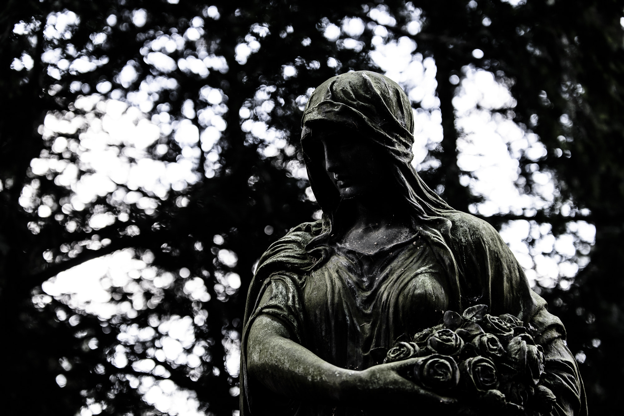 Nikon D800E sample photo. Touching from a distance photography