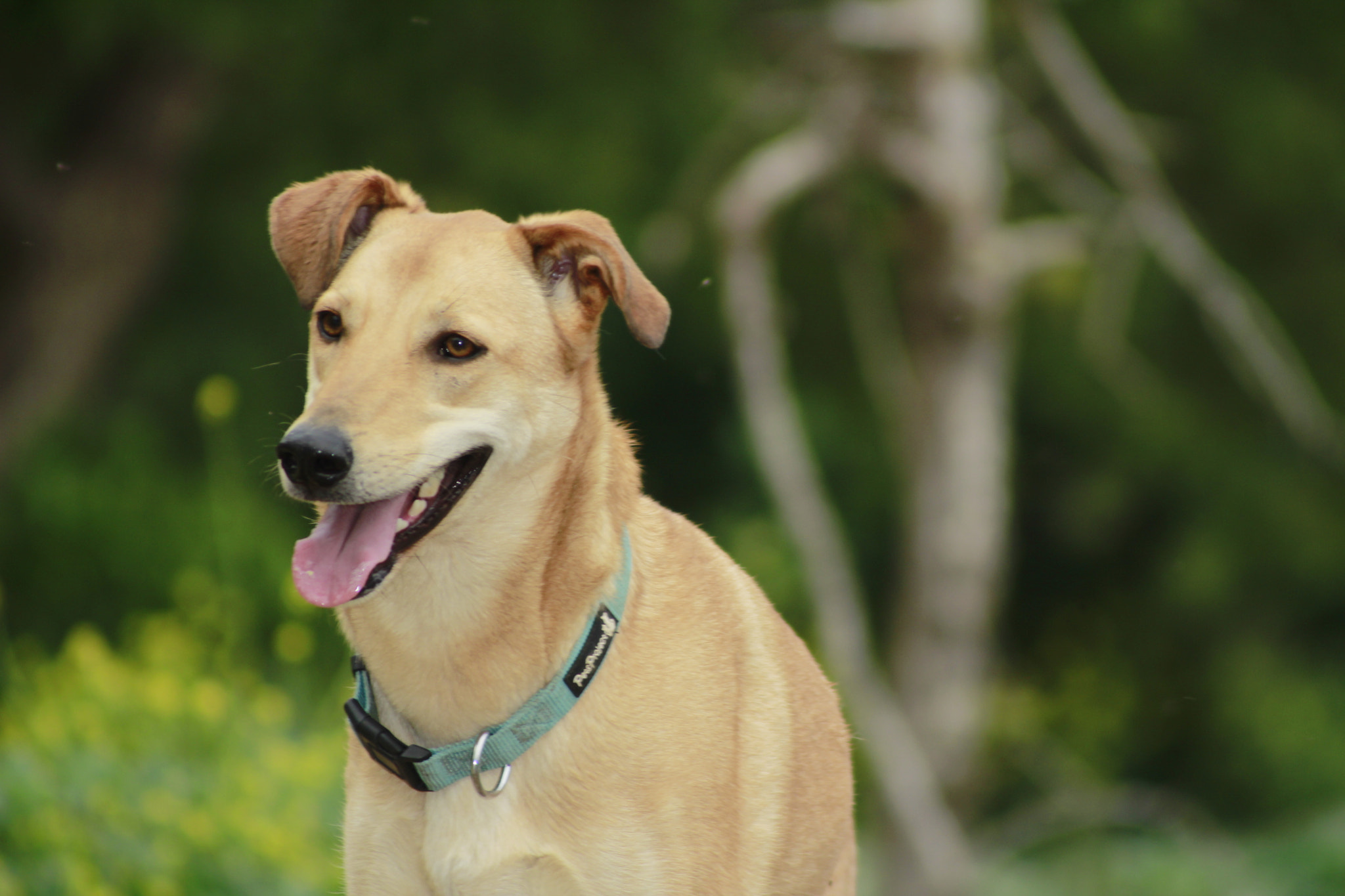 Canon EF 100-300mm F4.5-5.6 USM sample photo. Smile-2 photography