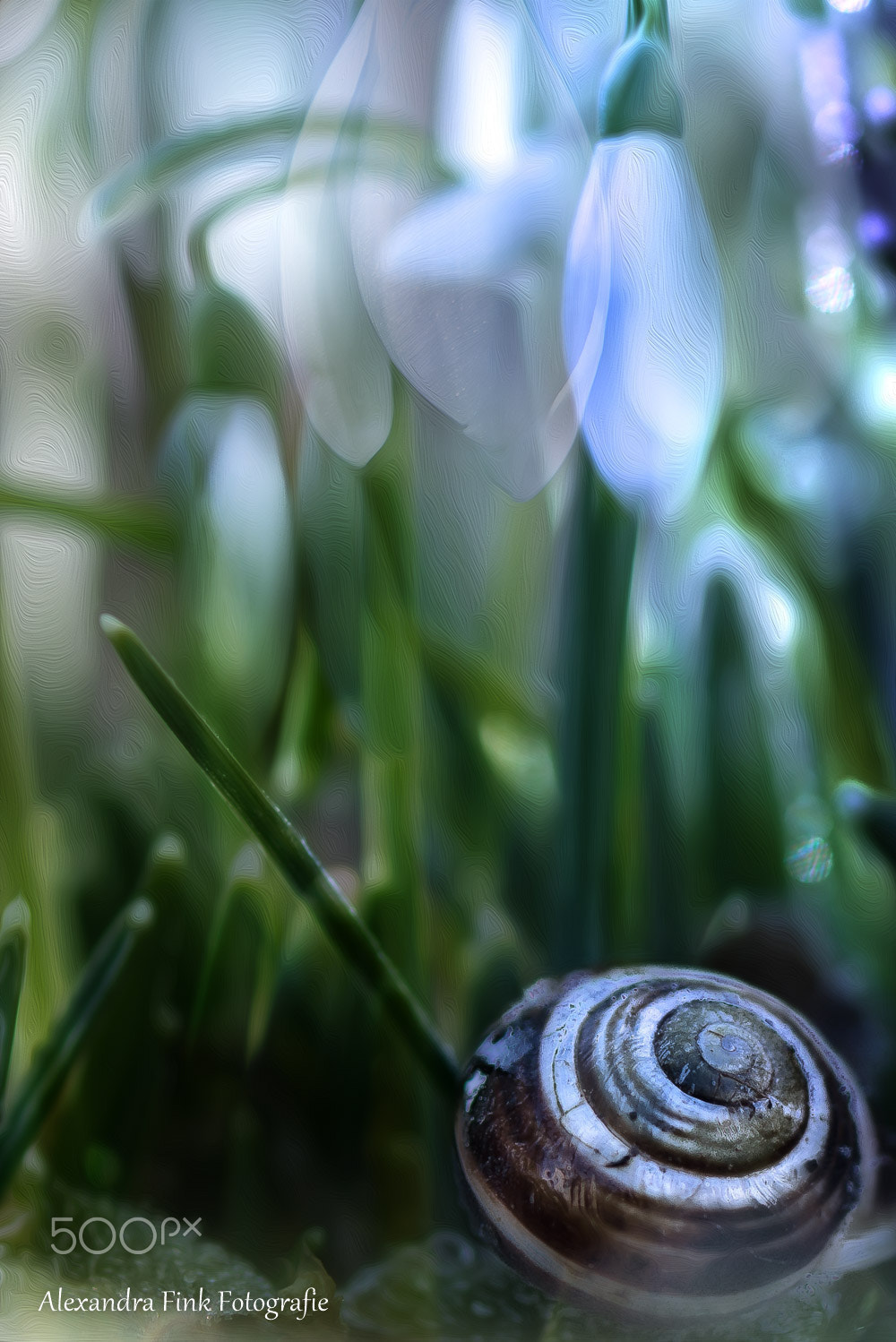 Nikon AF-S Micro-Nikkor 105mm F2.8G IF-ED VR sample photo. Goodbye winter - time to go photography