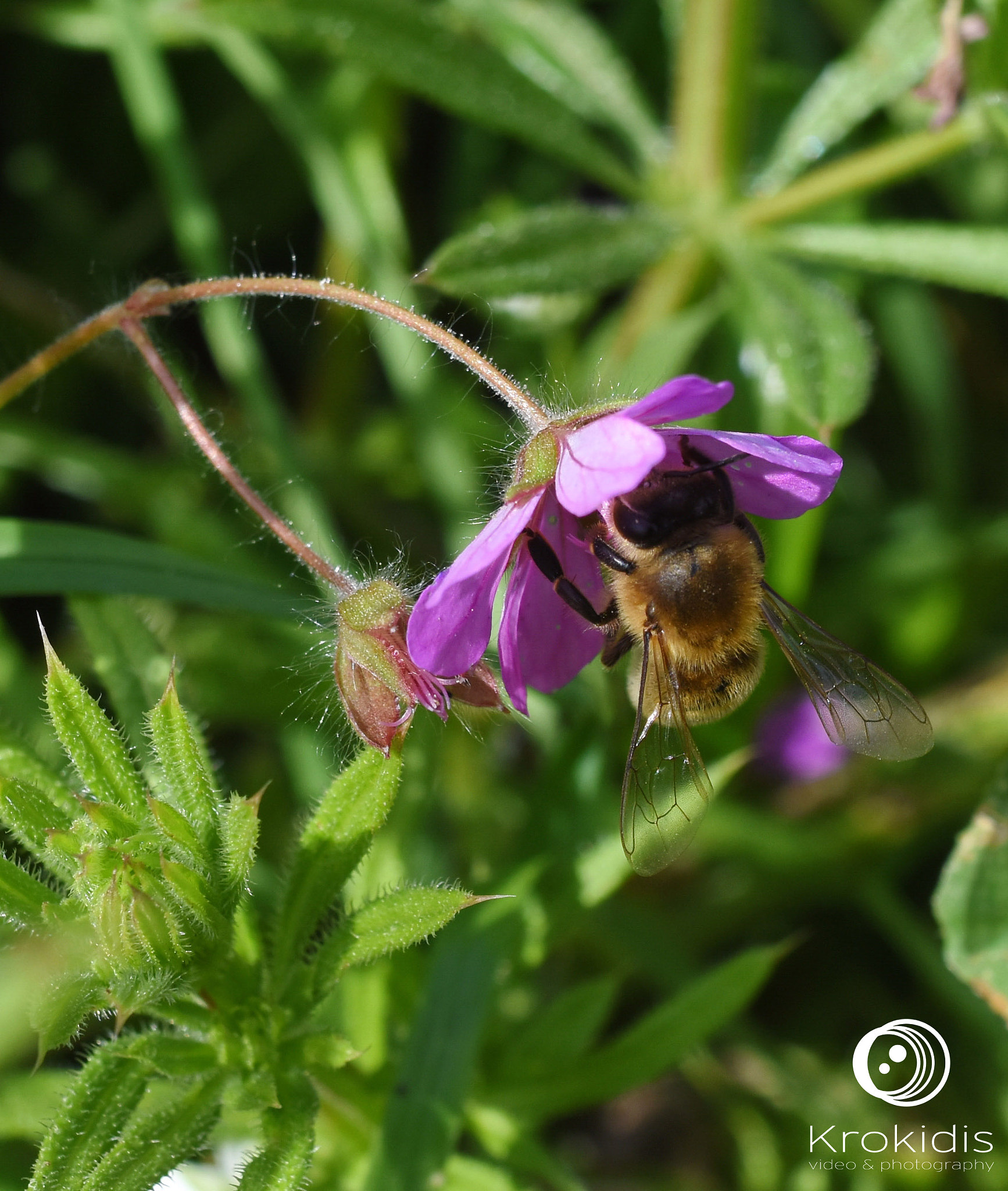 Nikon D7200 sample photo. First day of spring photography