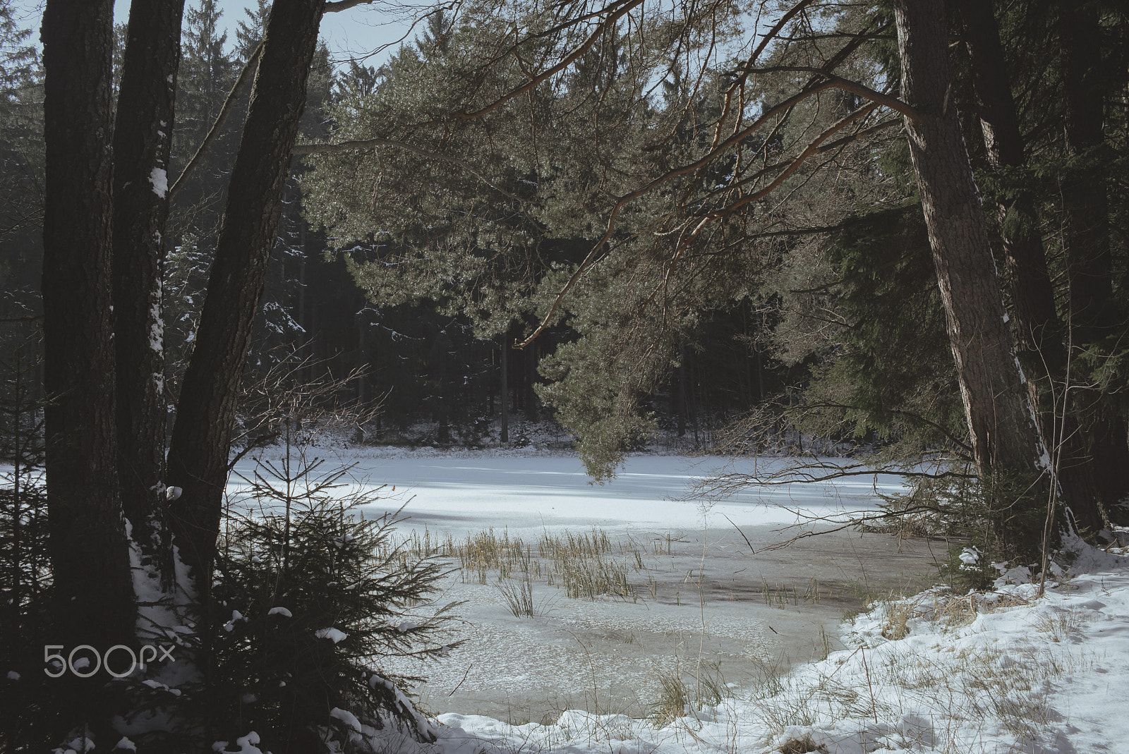 Summicron-M 1:2/35 ASPH. sample photo. Cold photography