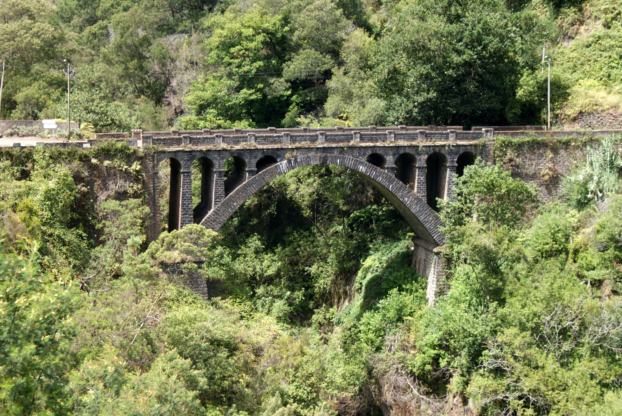 Sony Alpha DSLR-A300 sample photo. Madeira photography