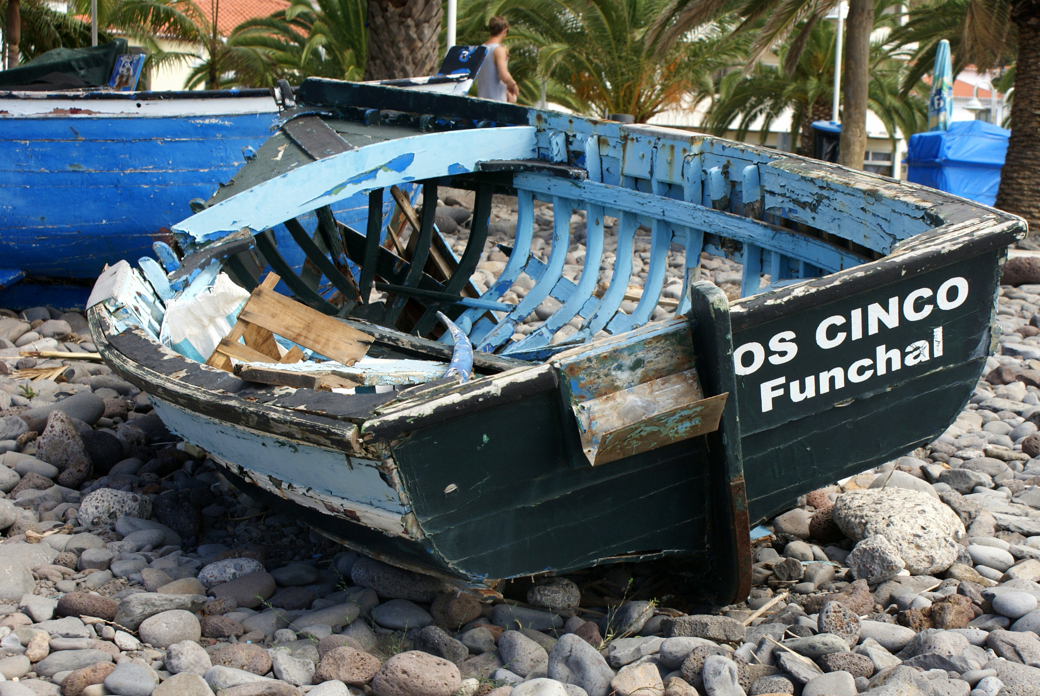 Sony Alpha DSLR-A300 sample photo. Madeira photography