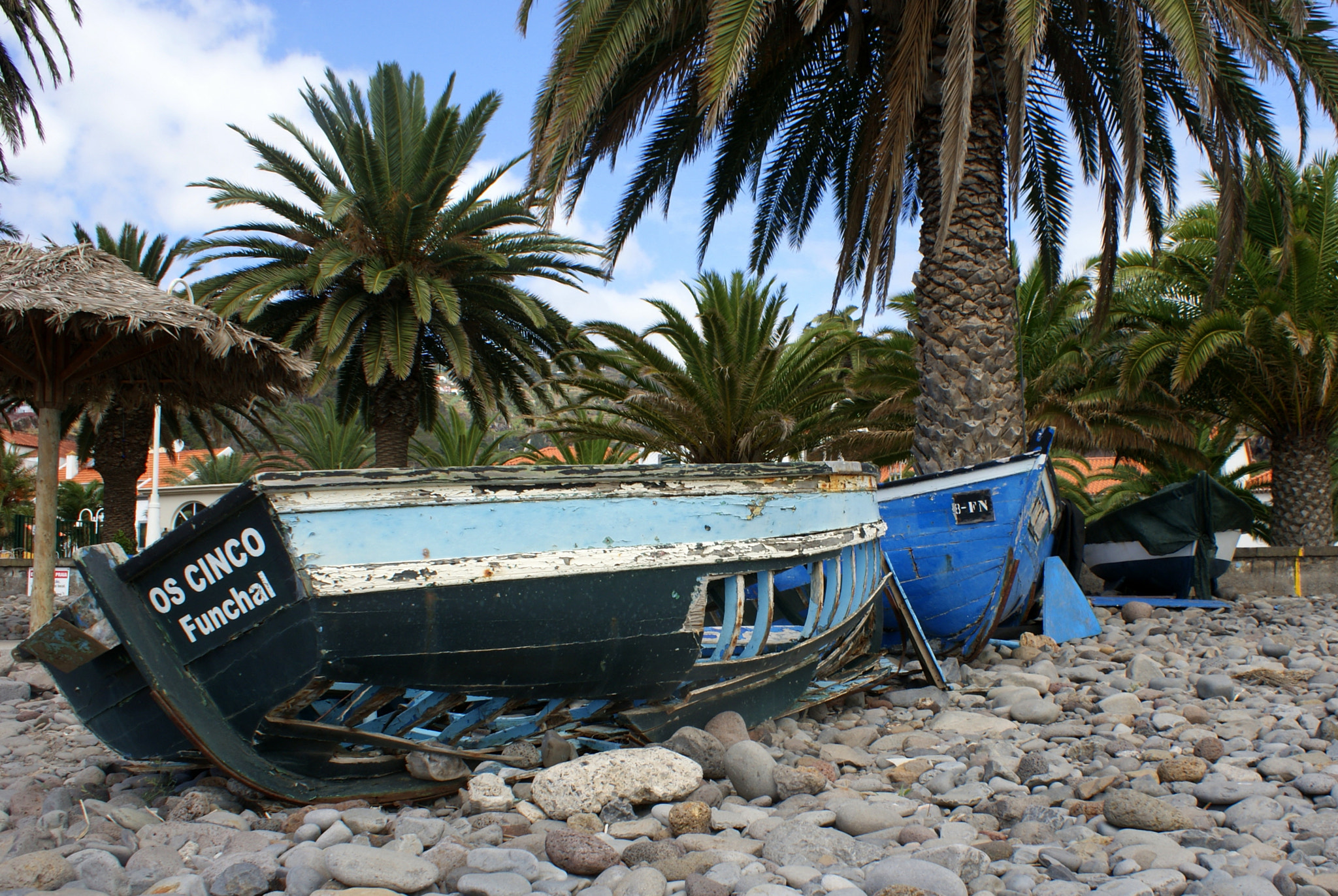 Sony Alpha DSLR-A300 sample photo. Madeira photography