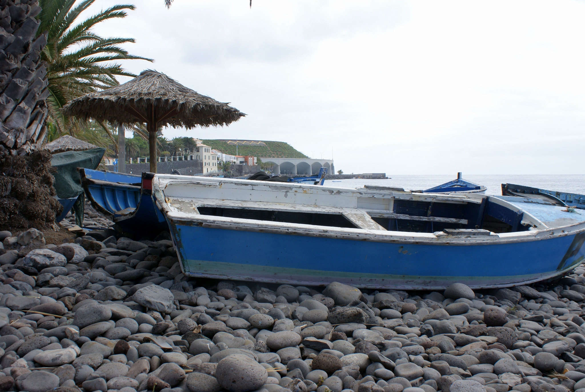 Sony Alpha DSLR-A300 sample photo. Madeira photography