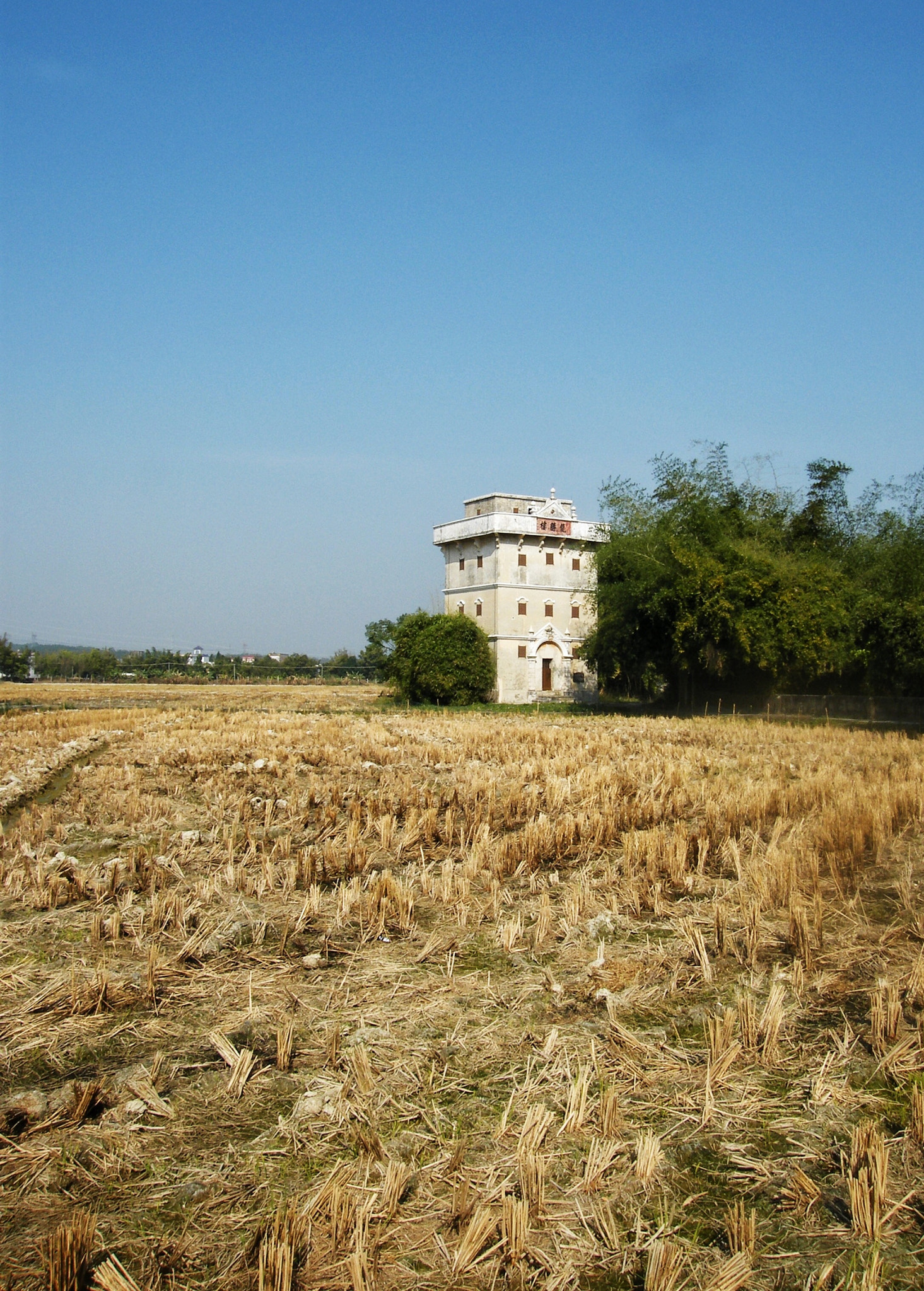 Fujifilm FinePix S8000fd sample photo. Kaiping， china photography