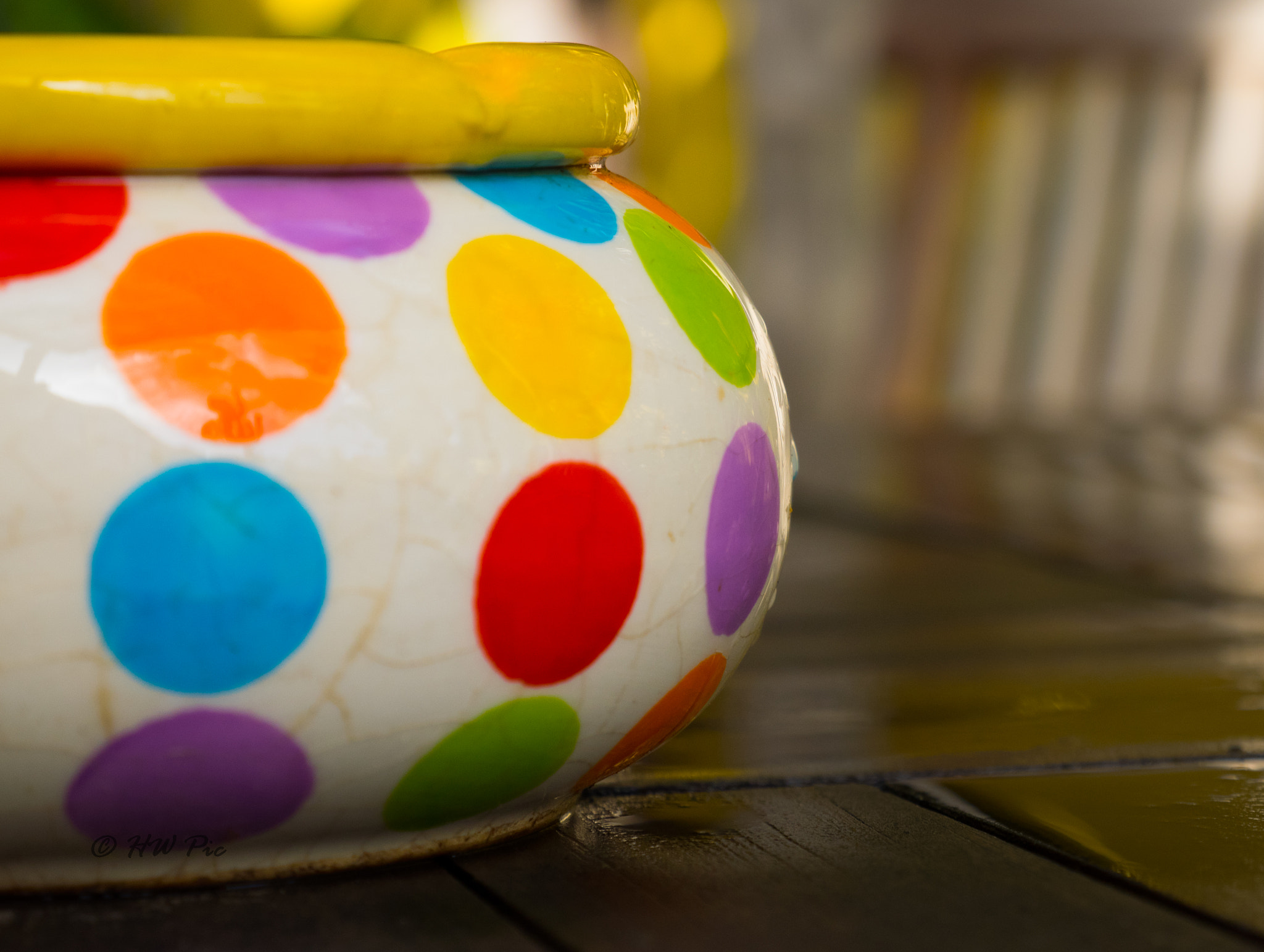 Olympus OM-D E-M1 sample photo. Colorful photography