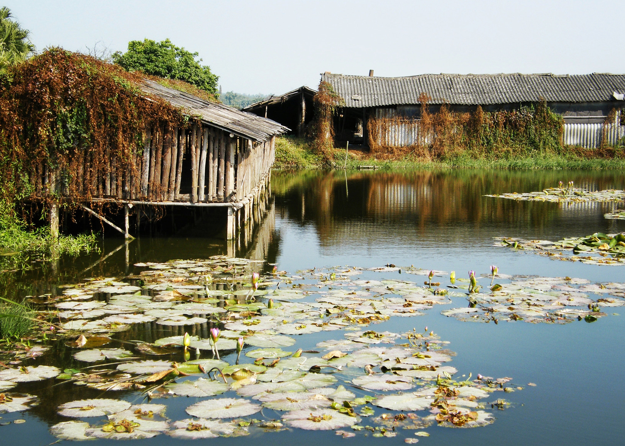 Fujifilm FinePix S8000fd sample photo. Kaiping， china photography